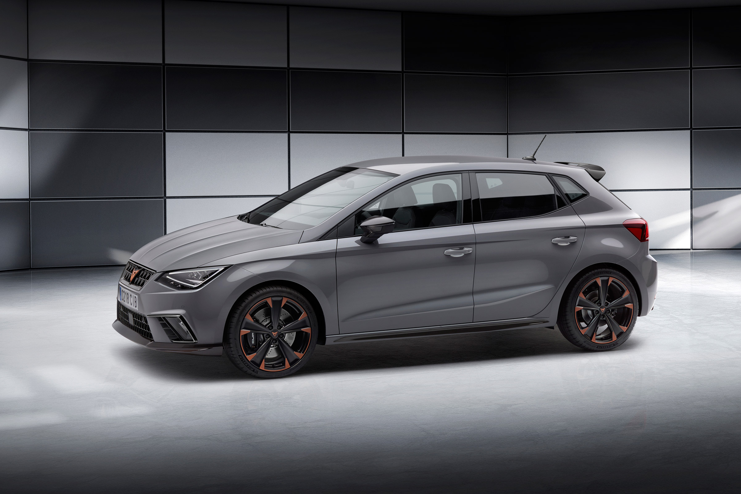 Cupra Ibiza - side