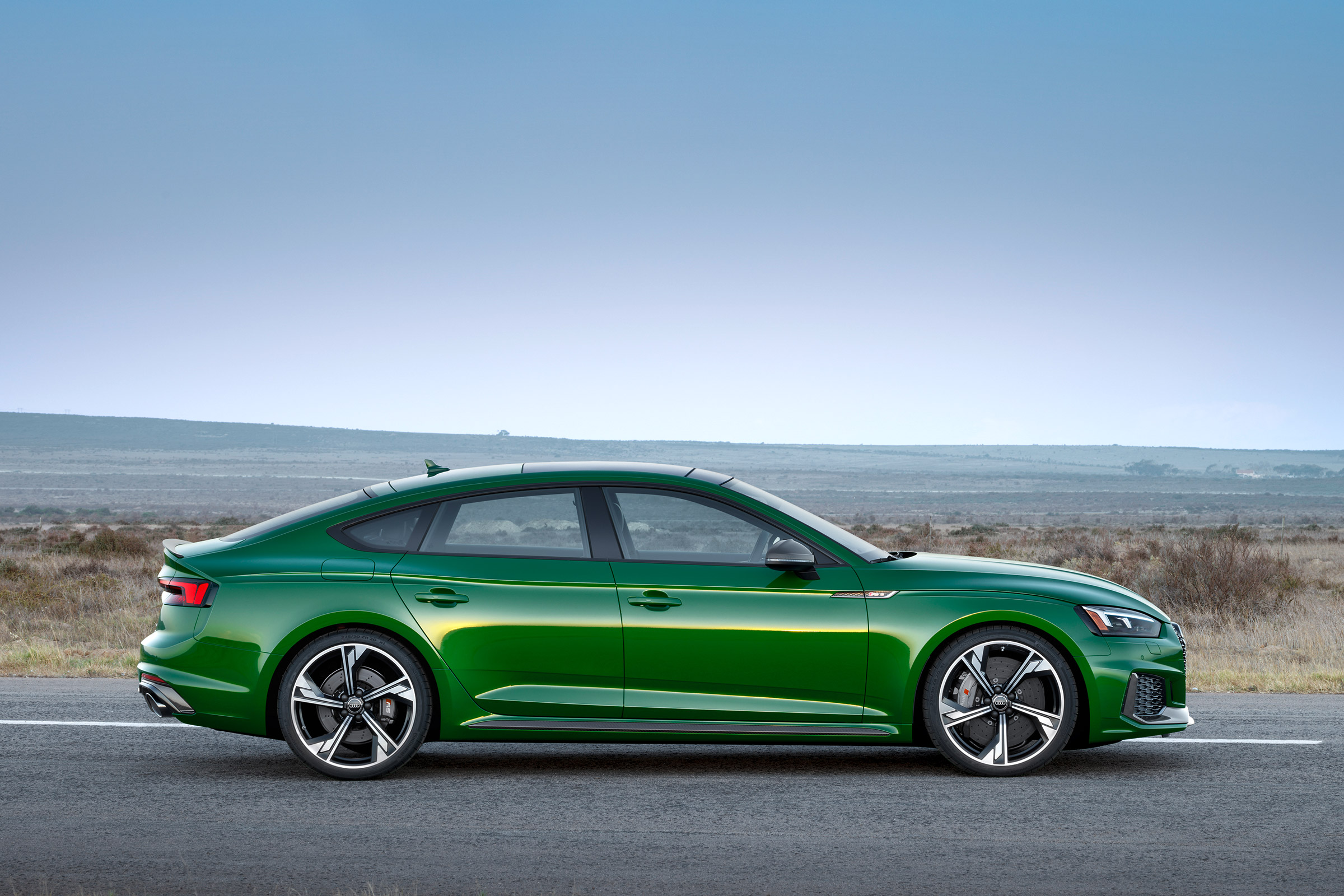Audi RS5 Sportback - profile