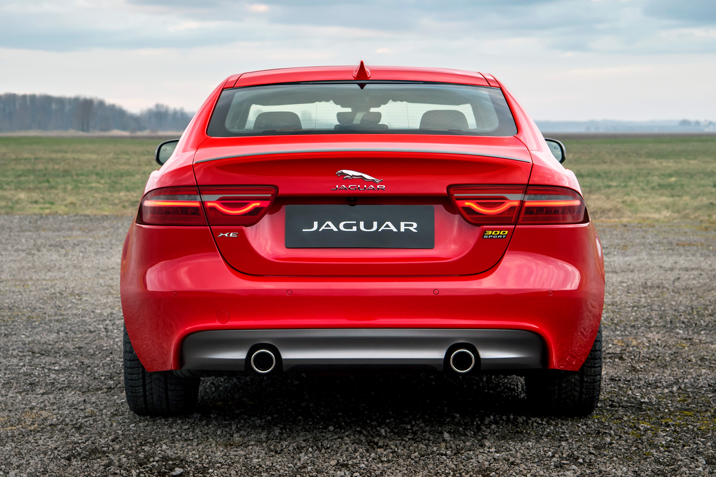 Jaguar 300 Sport models