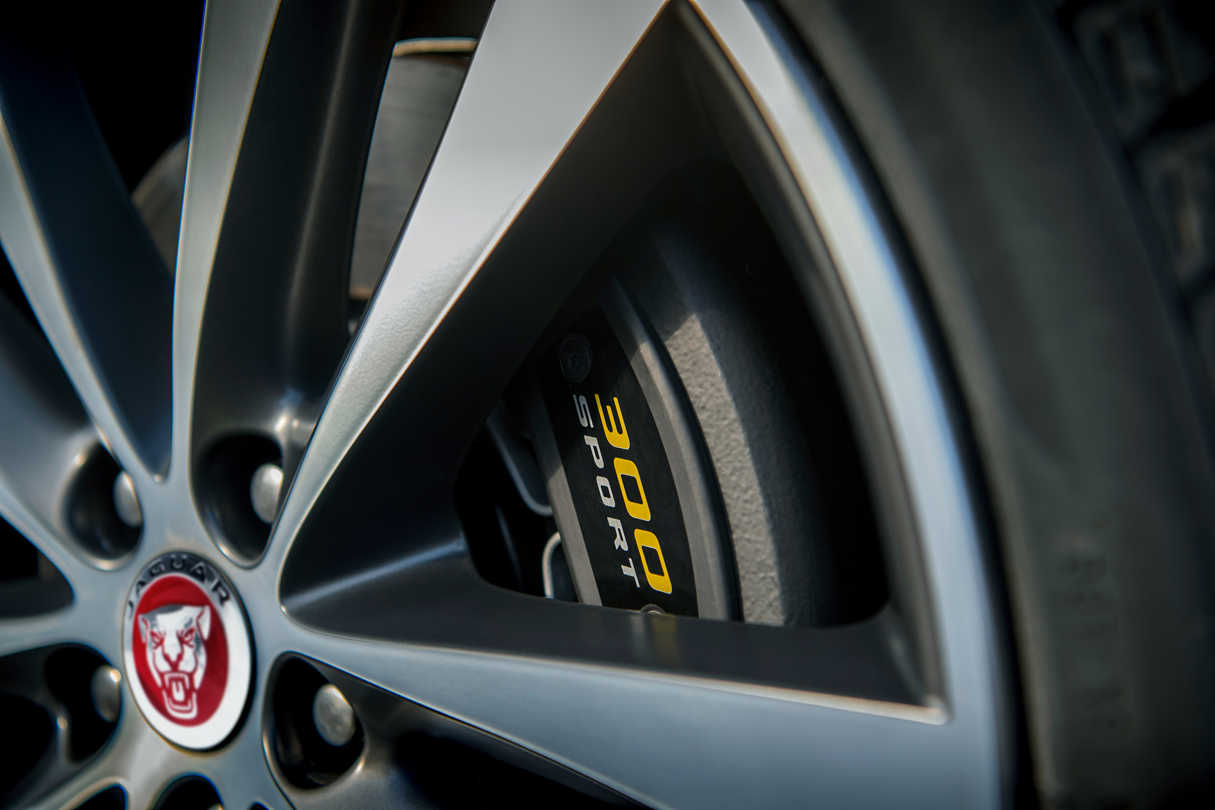 Jaguar 300 Sport models