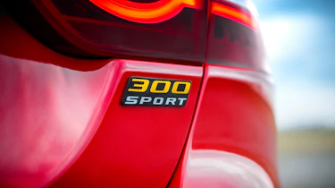 Jaguar 300 Sport models