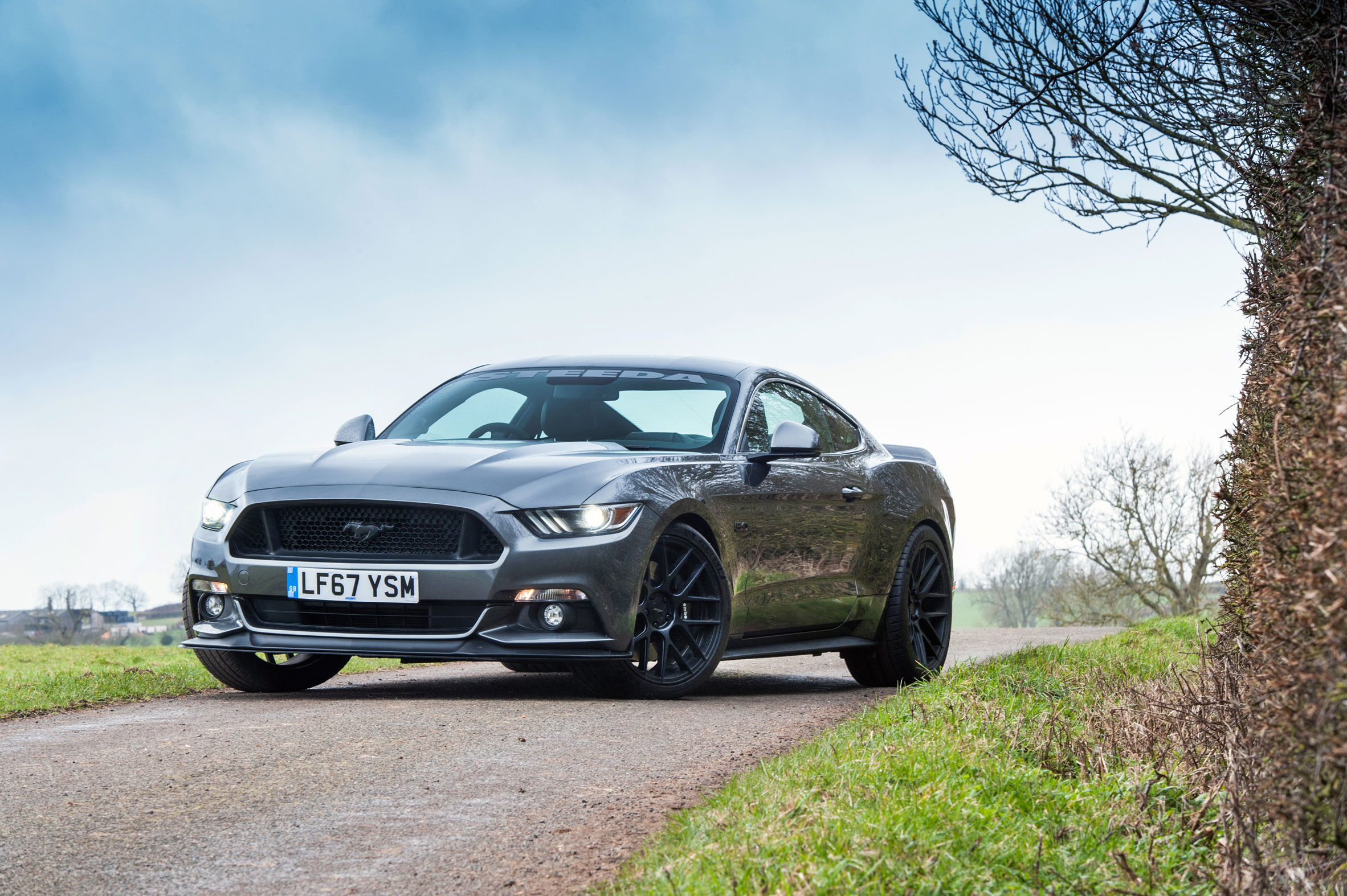 Steeda Q500 Enforcer – Front