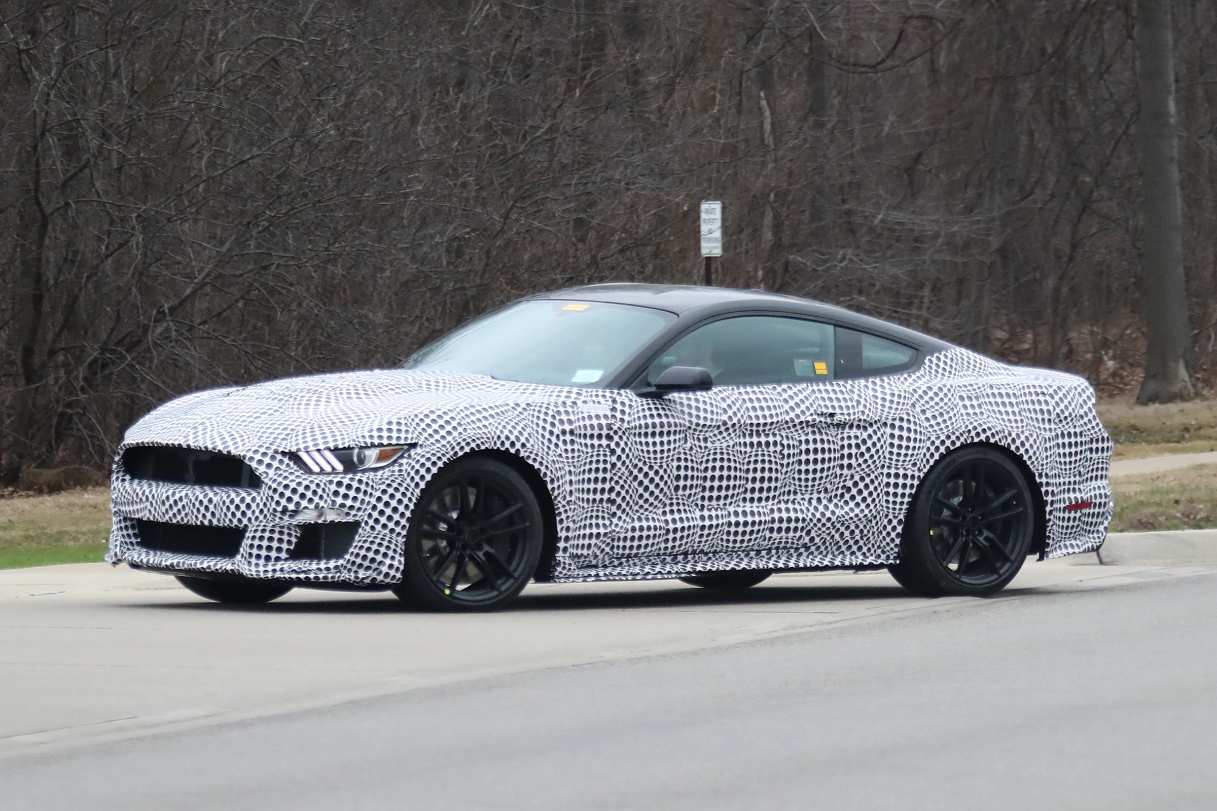 Ford Mustang Shelby GT500 in testing – side
