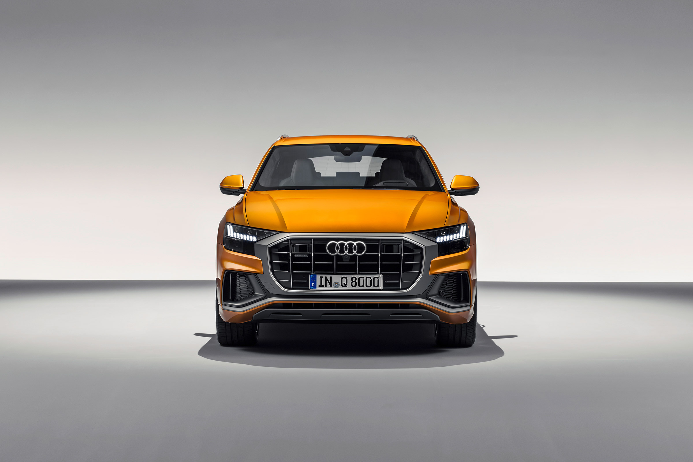 Audi Q8 TDI - nose