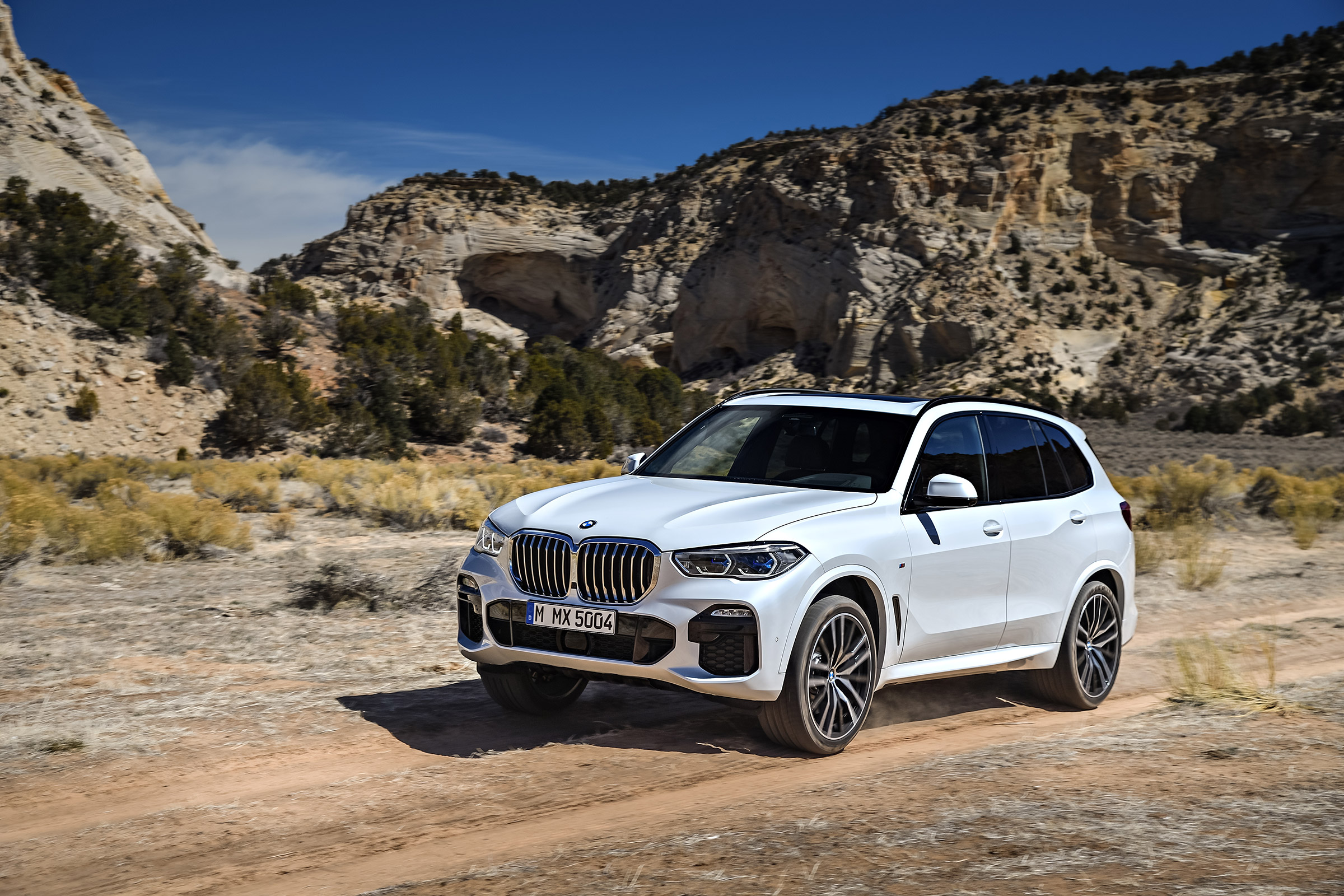 2018 BMW X5 - front