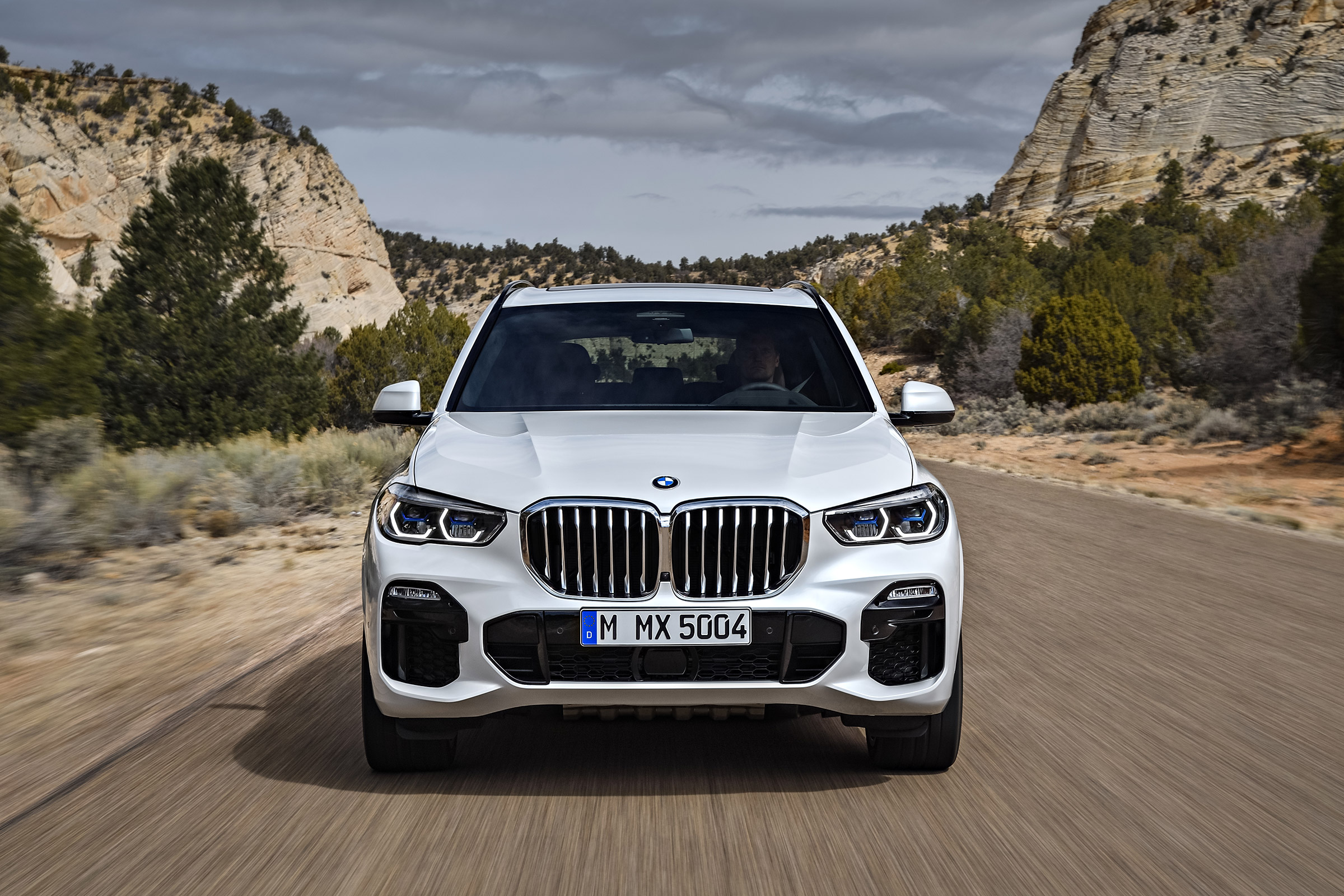 2018 BMW X5 - nose