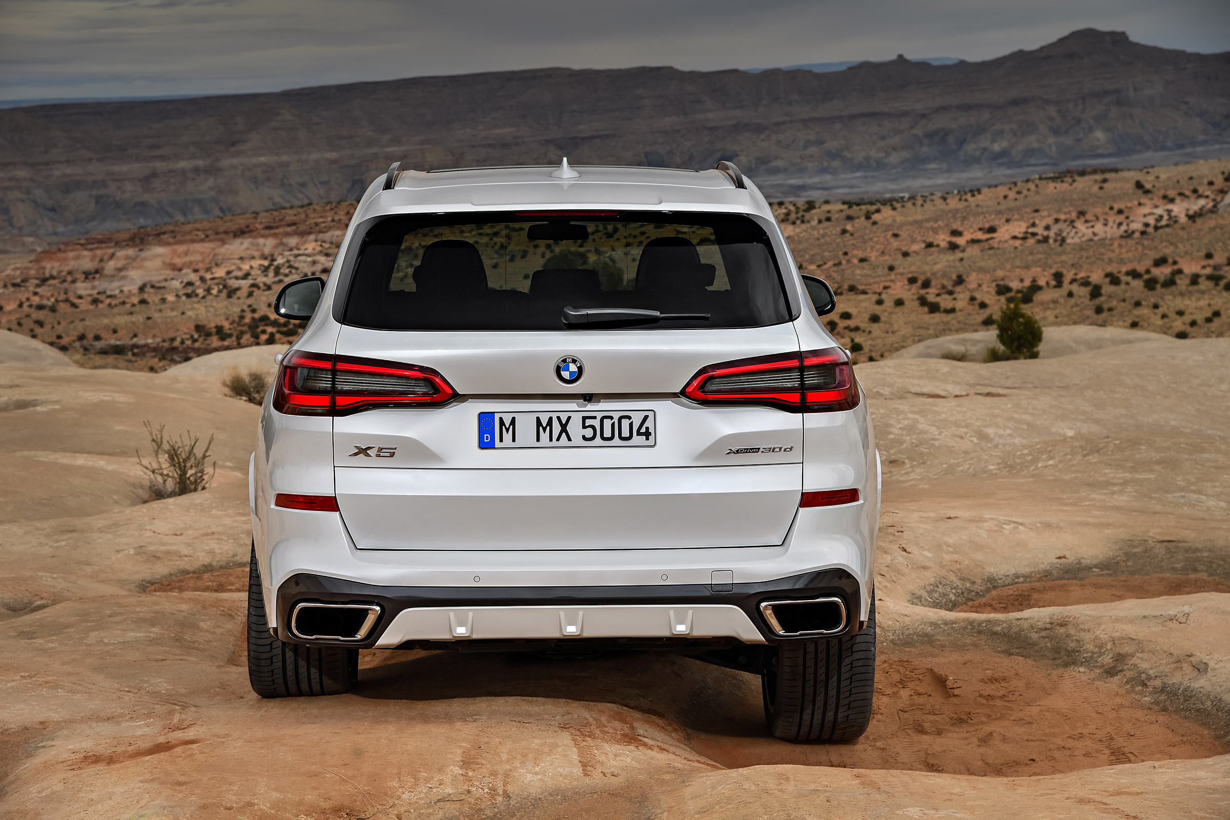 2018 BMW X5 - tail