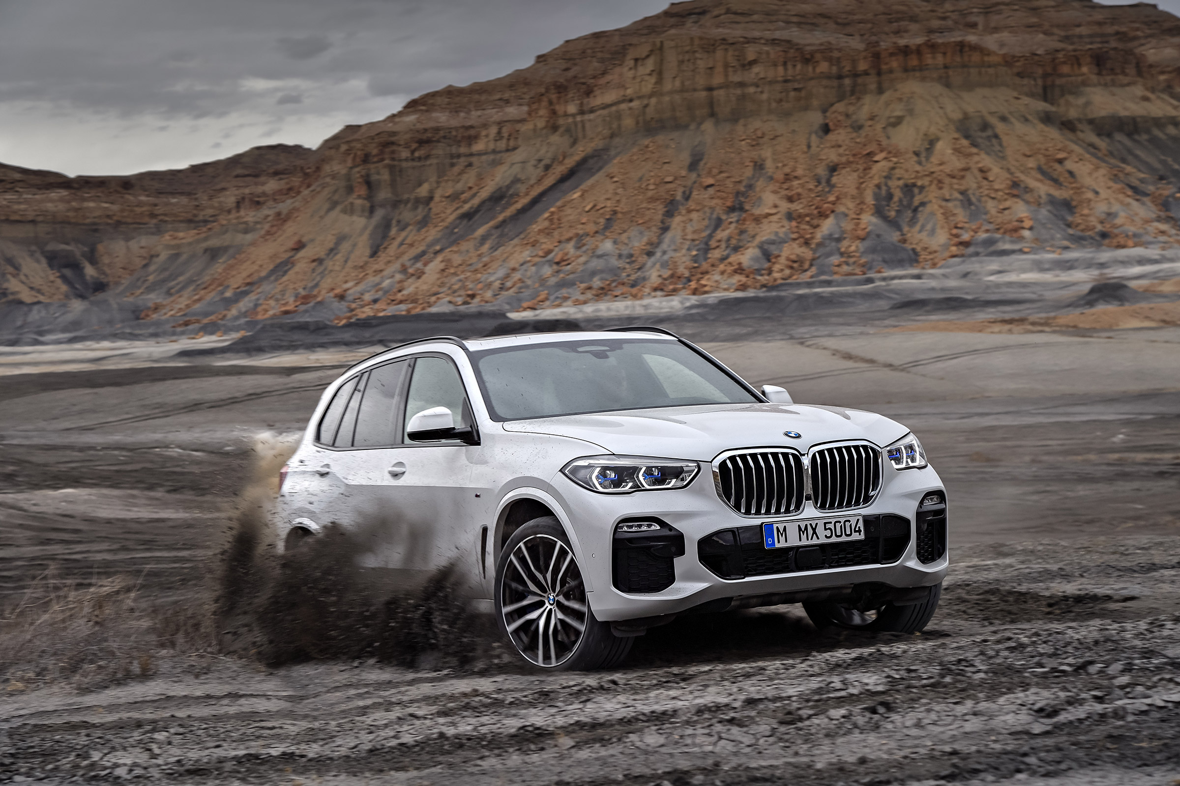 2018 BMW X5 - front quarter