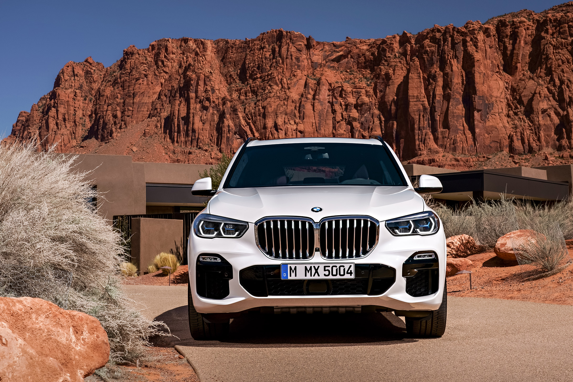 2018 BMW X5 - nose headlights