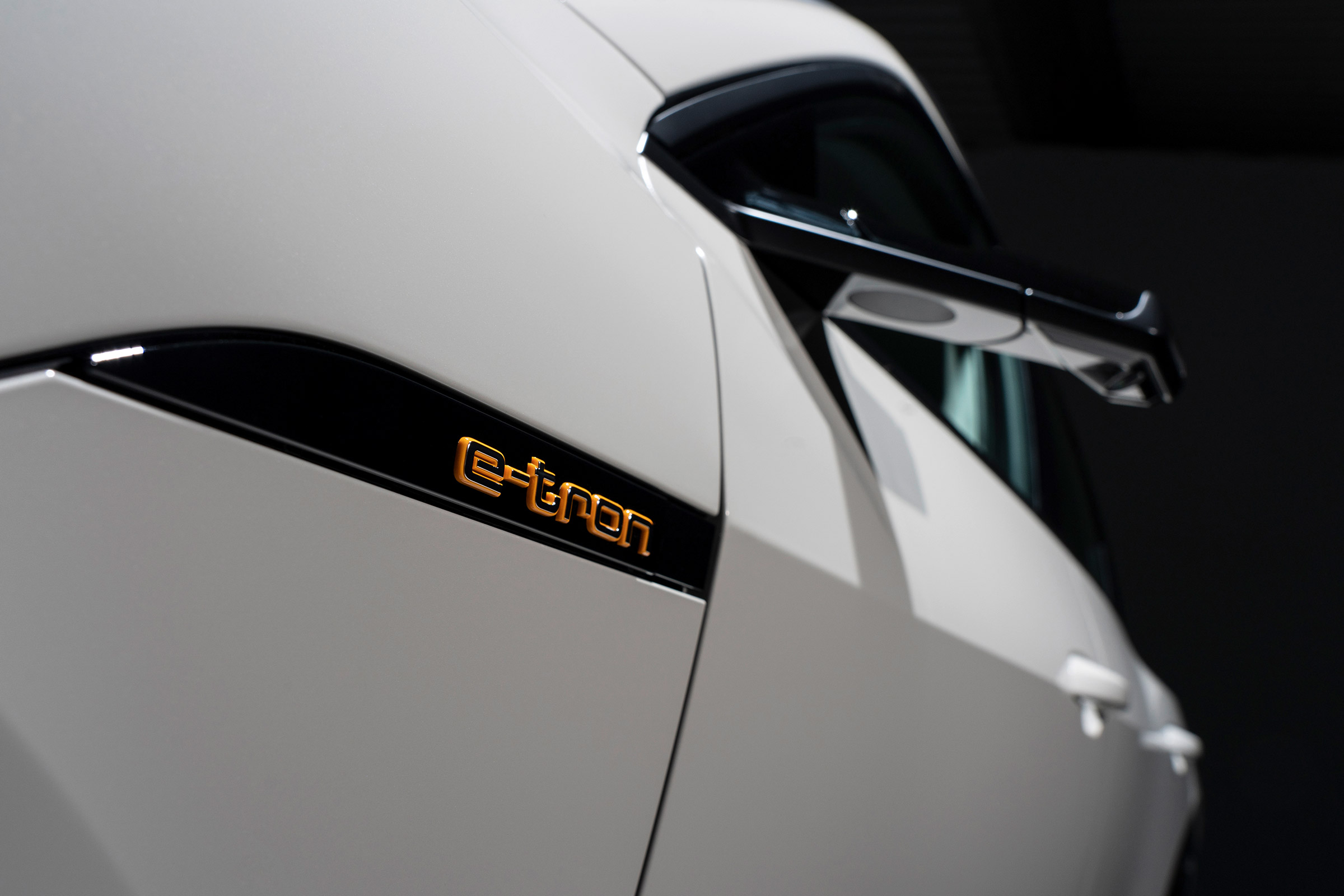 Audi e-Tron - badge