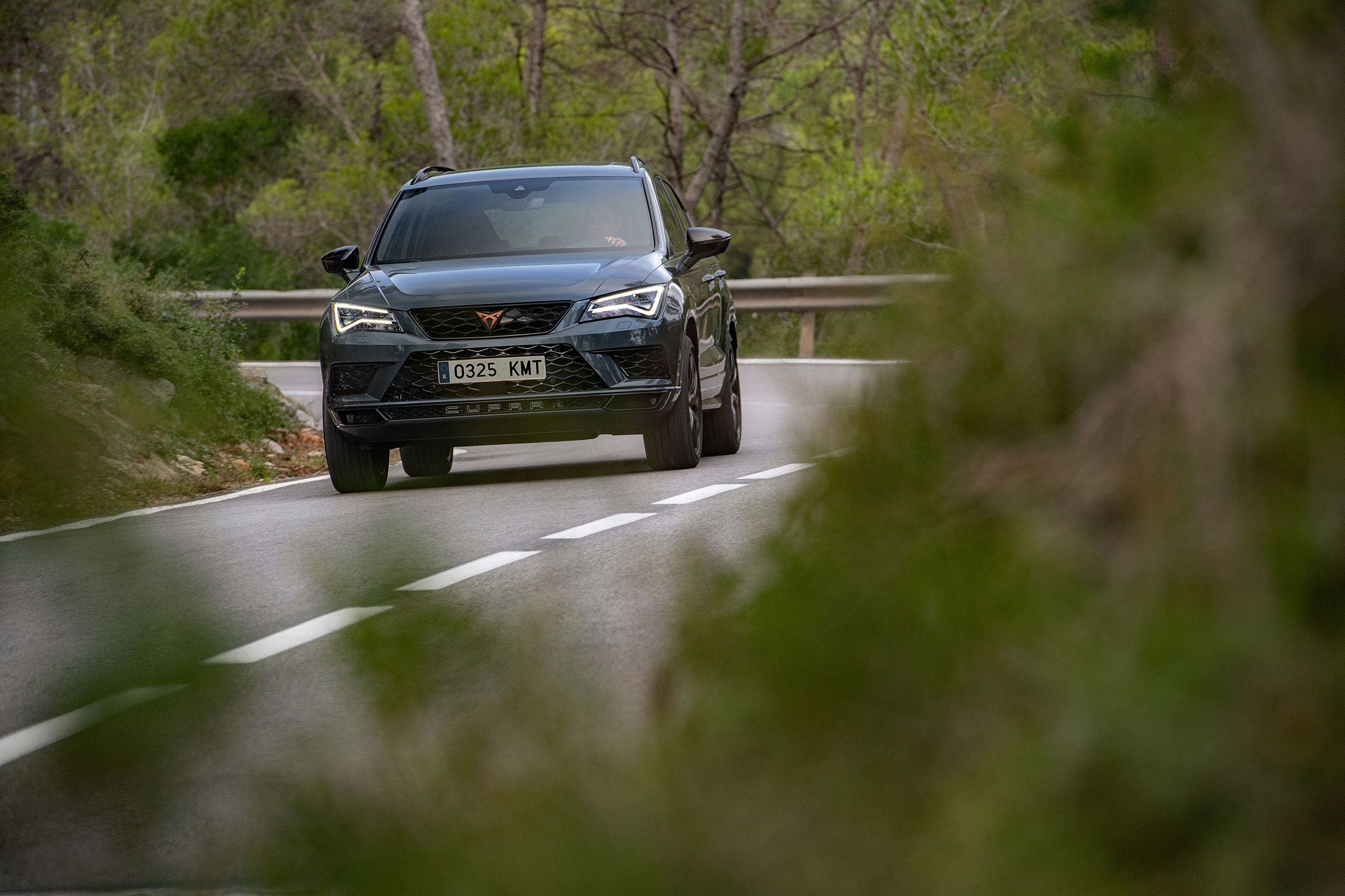 Ateca Cupra - grey nose