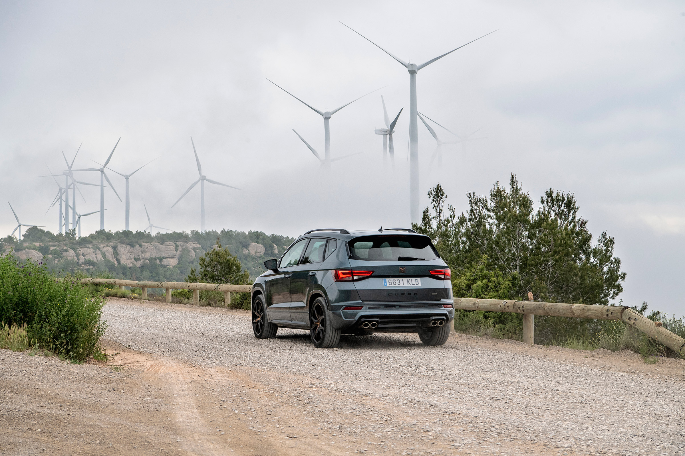 Ateca Cupra - rear quarter