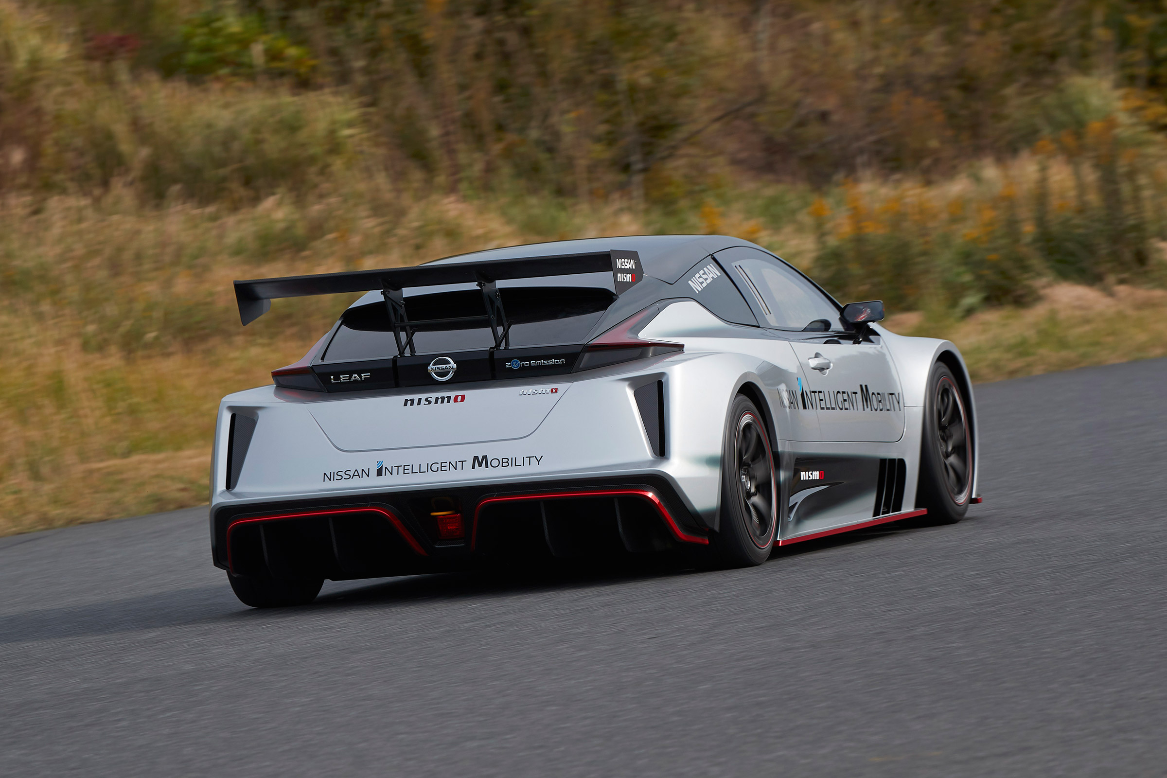 Leaf Nismo RC - rear