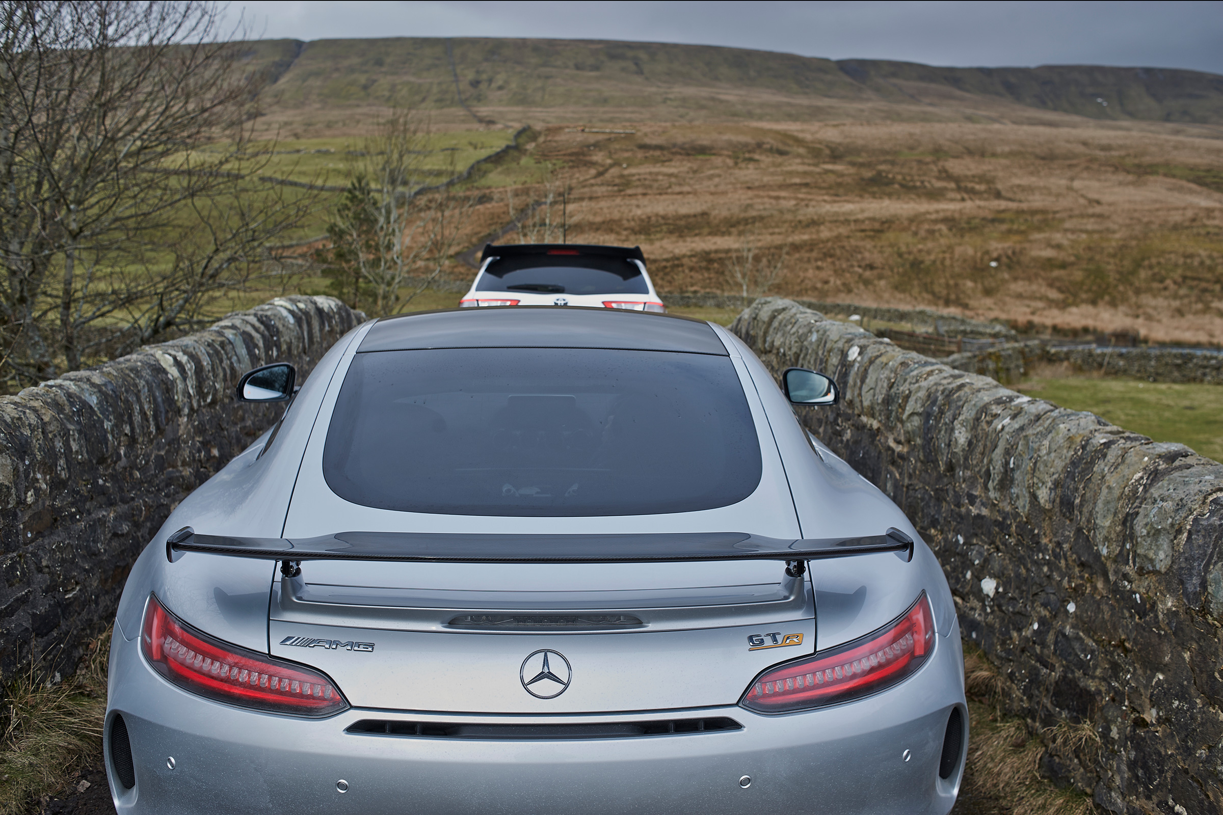 Mercedes-AMG GT R rear