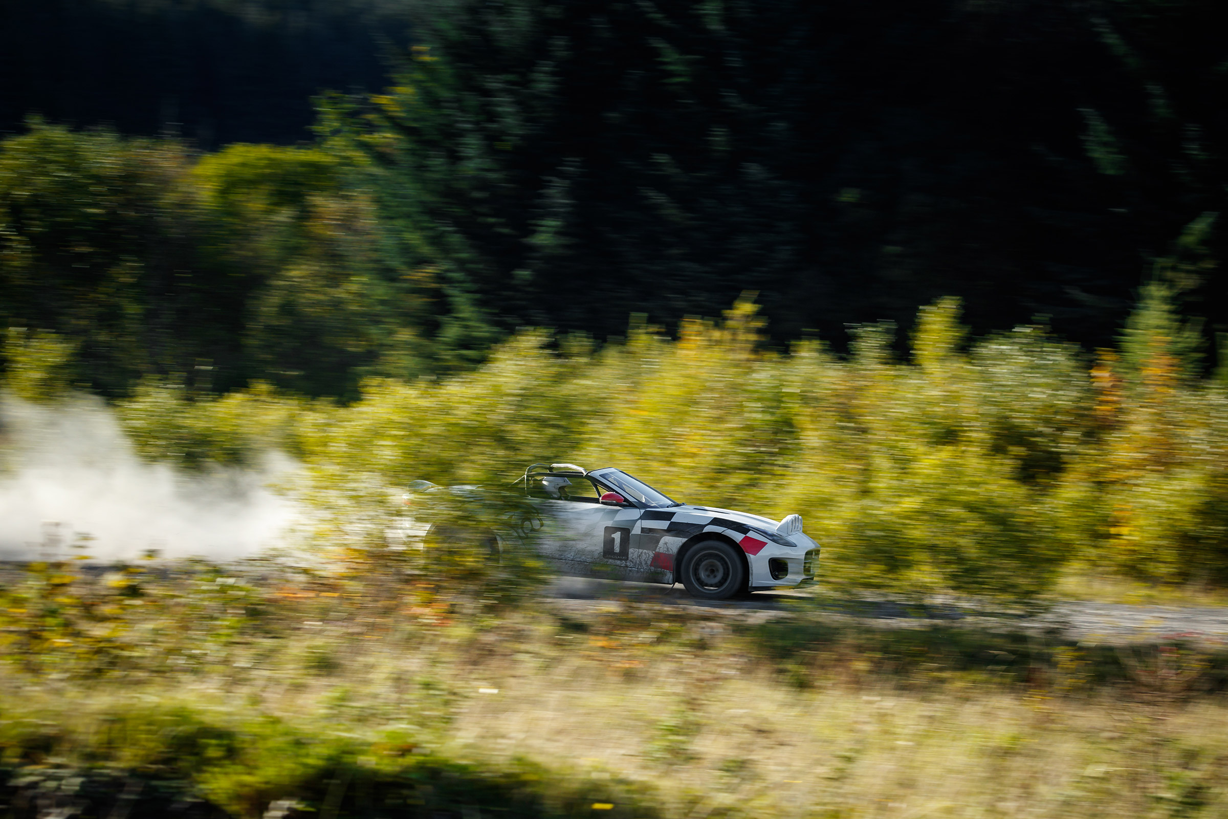 Jaguar F-Type rally car - pan