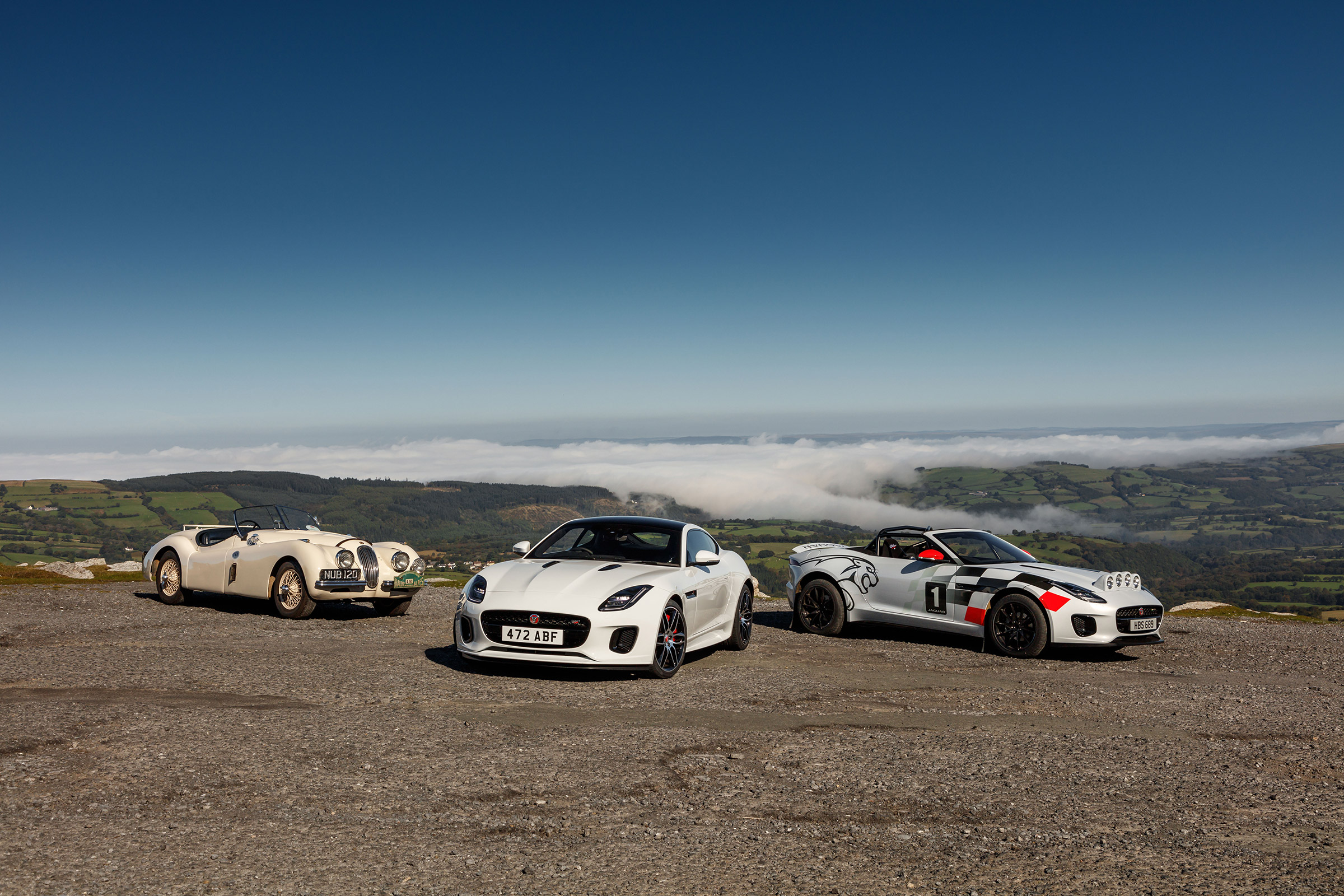 Jaguar F-Type rally car - static