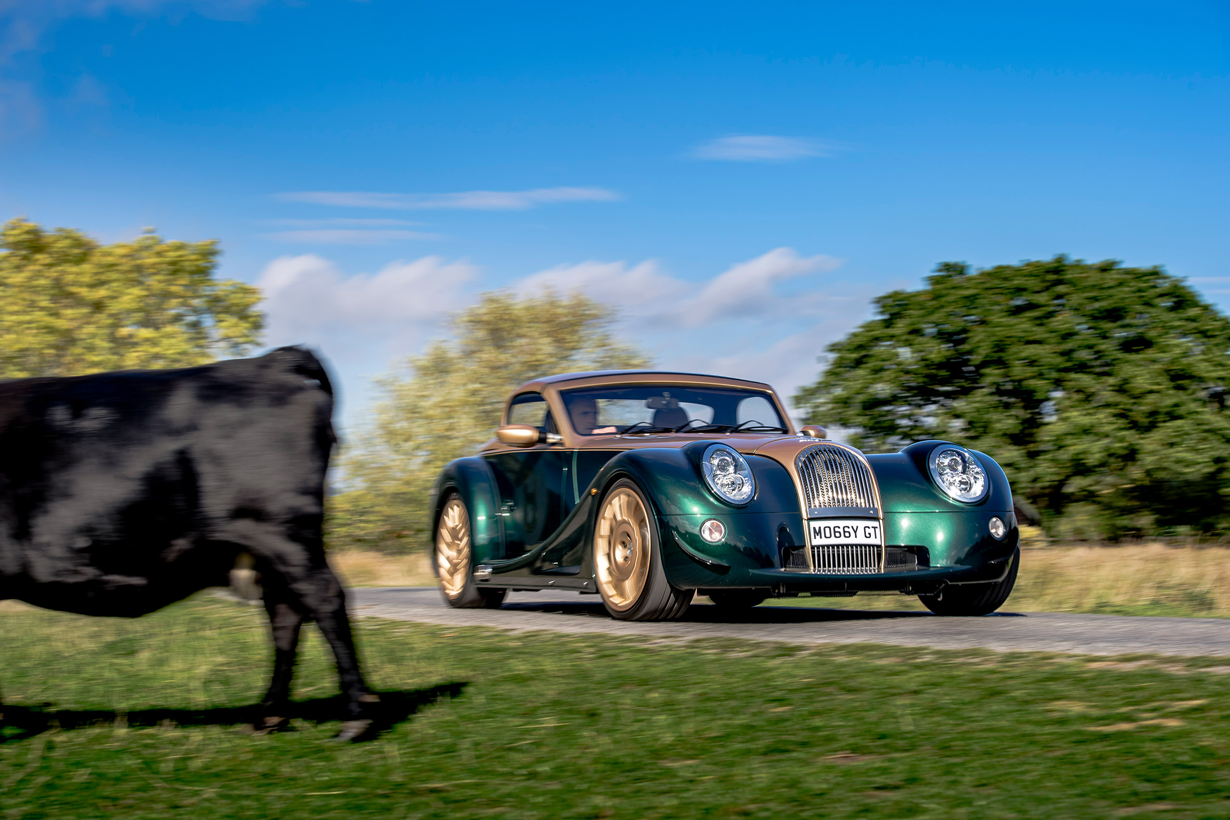 Morgan Aero GT - cows