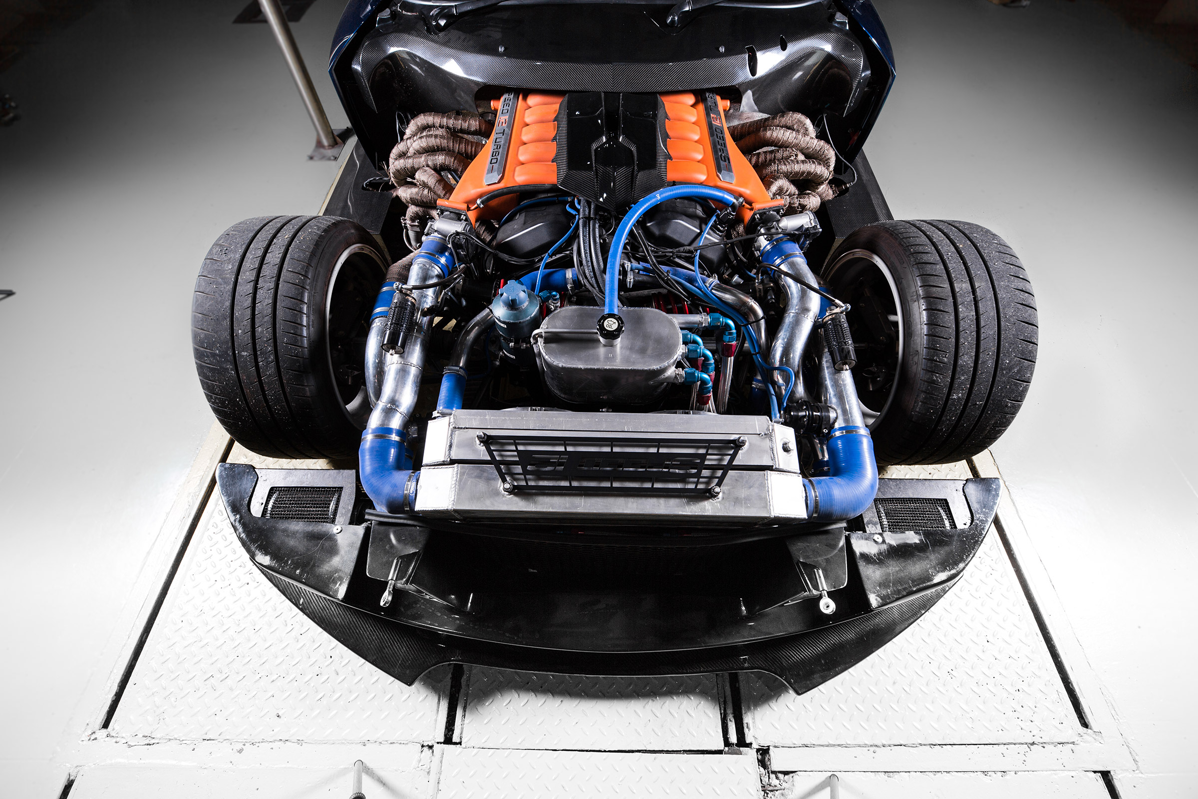 TVR Speed 12 - nose