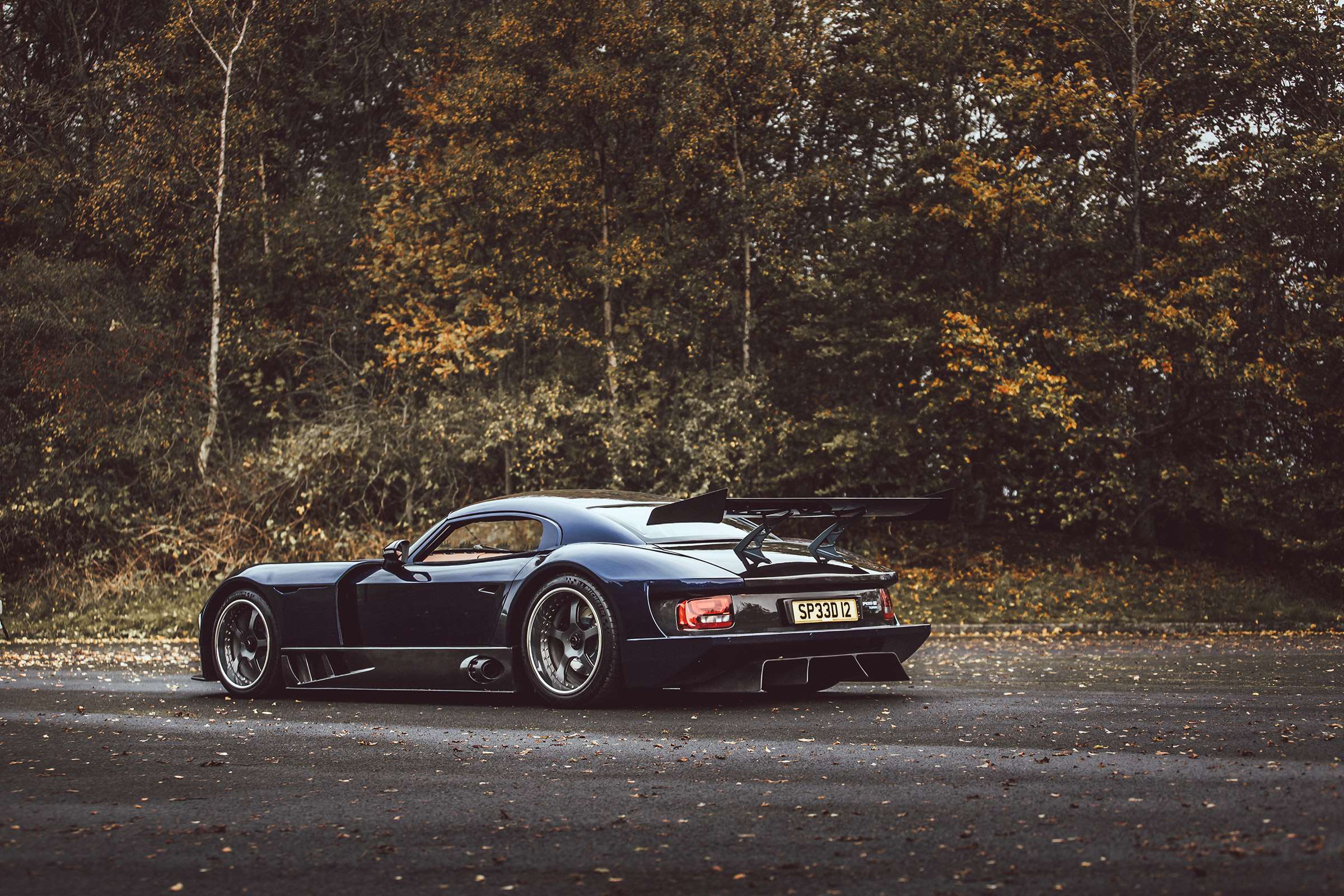 TVR Speed 12 - rear quarter