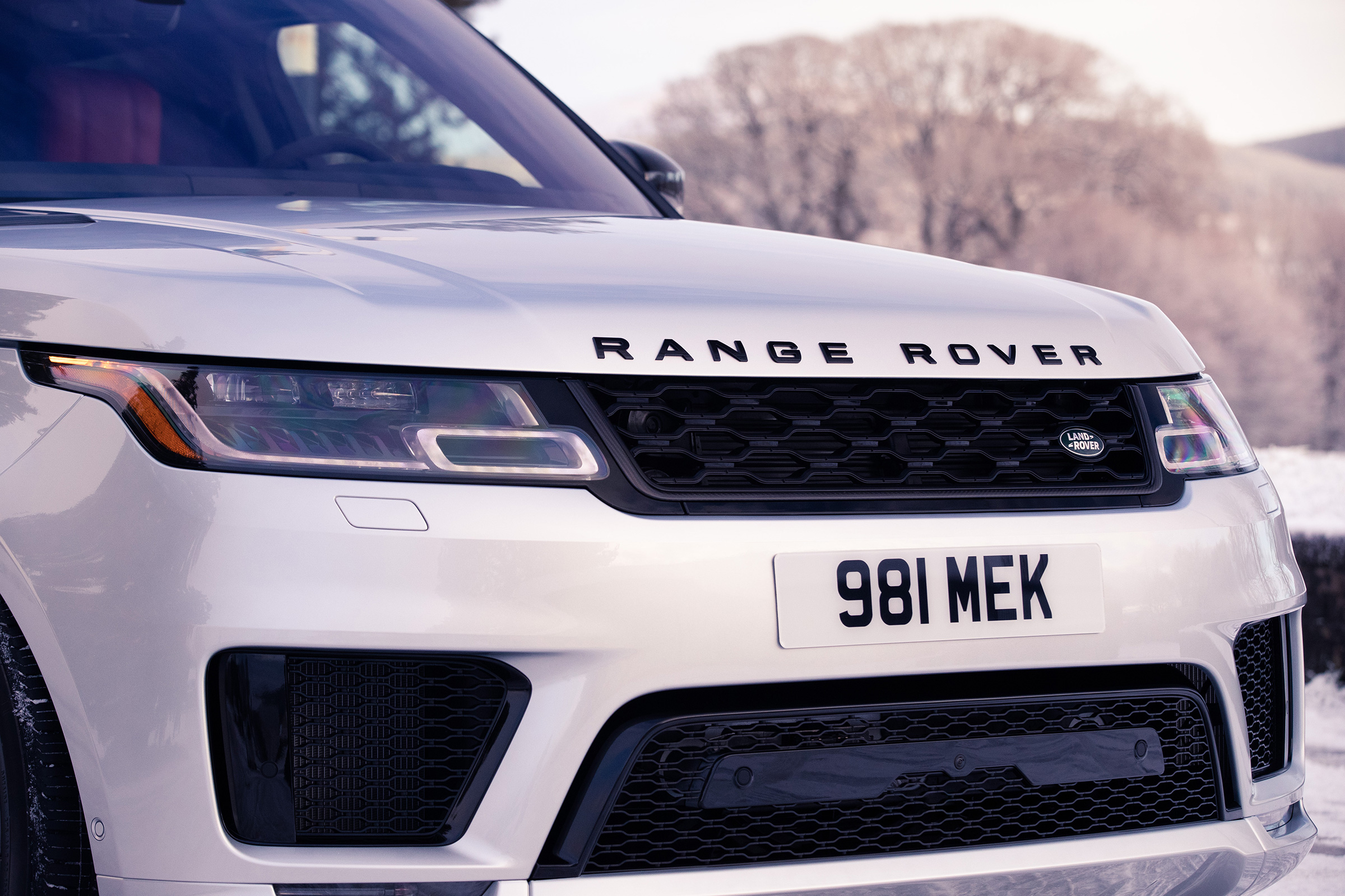 Range Rover Sport Ingenium grille