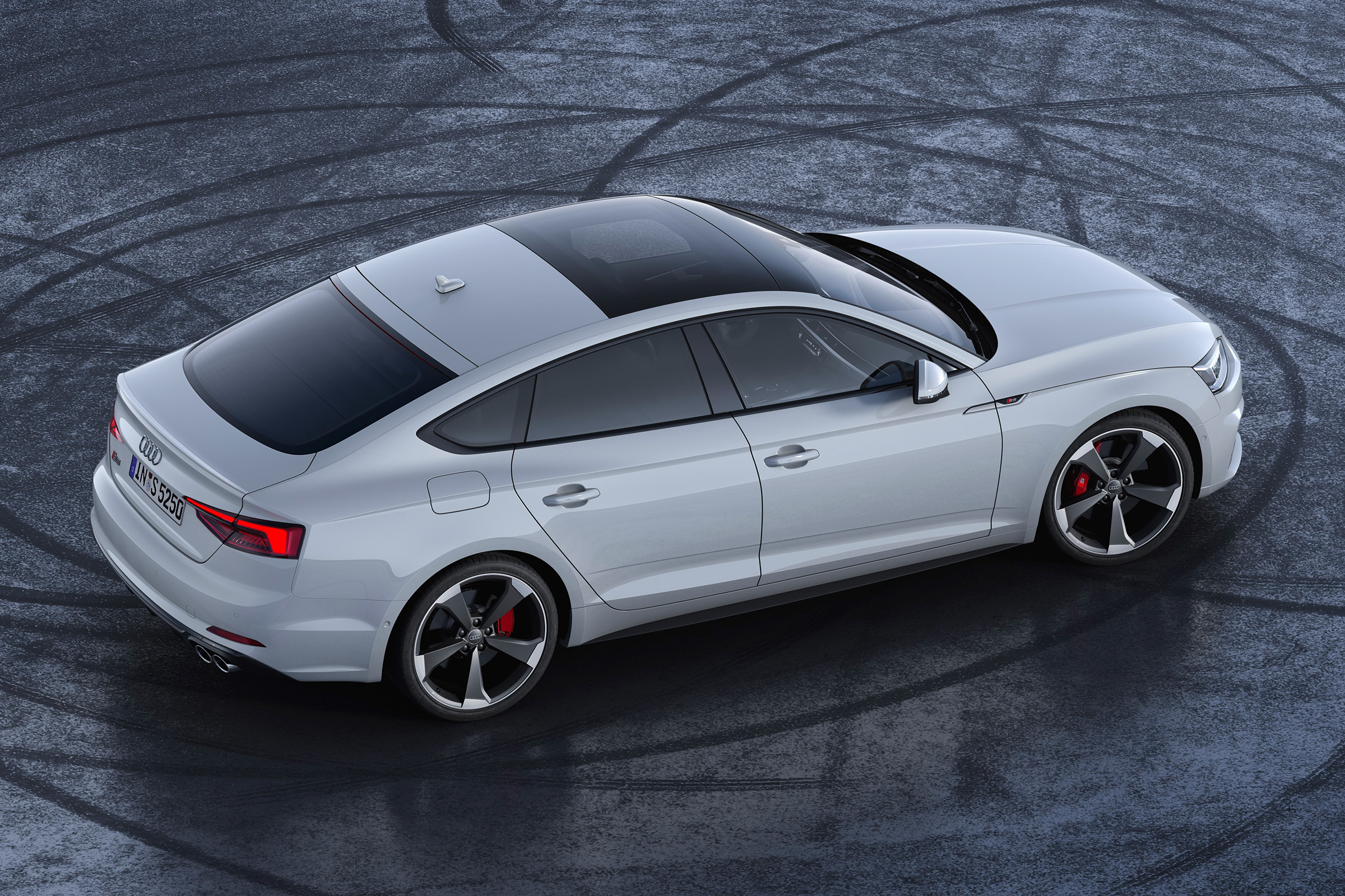 Audi S5 TDI - rear