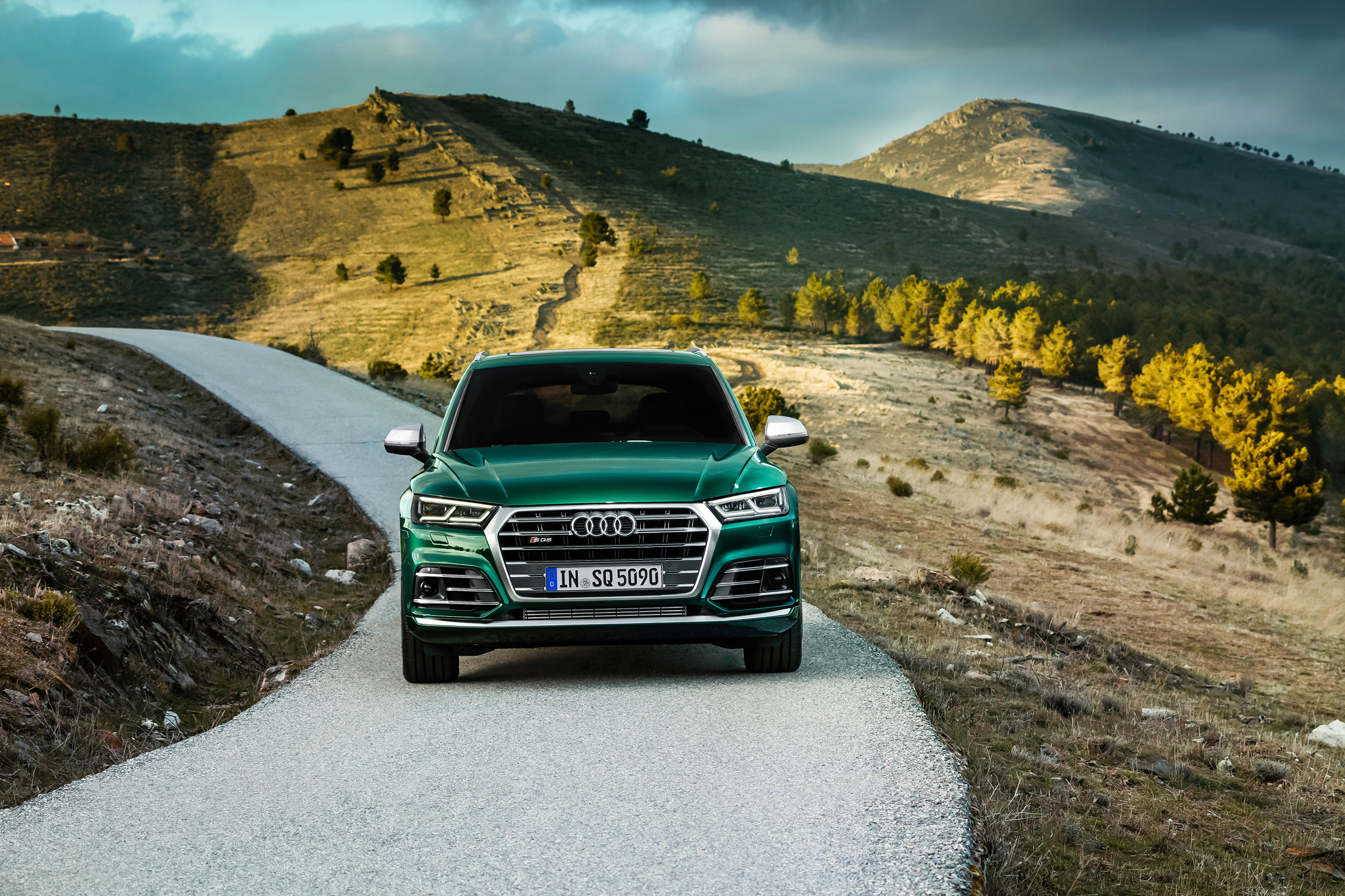Audi SQ5 TDI - nose