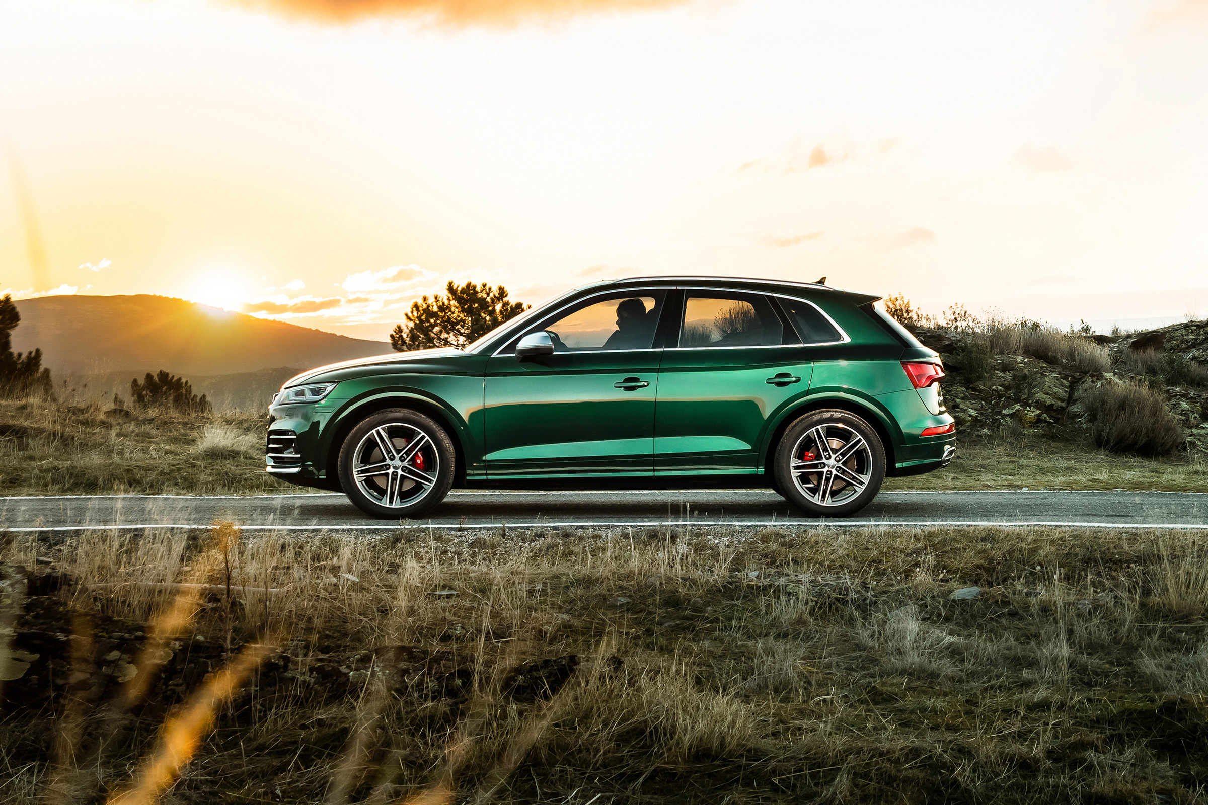 Audi SQ5 TDI - side