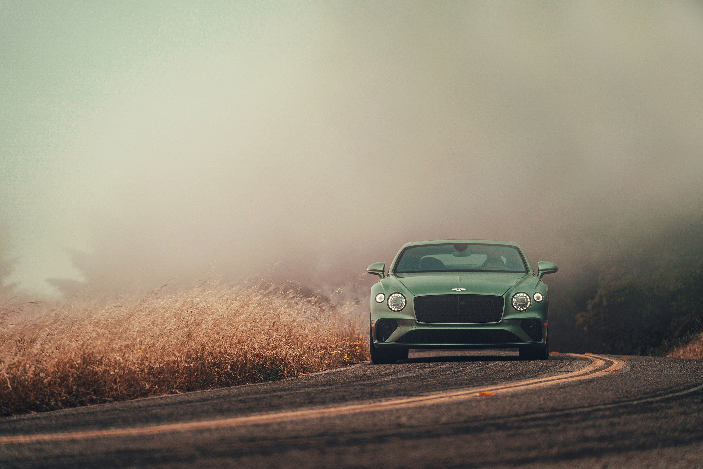 Bentley Continental GT V8 review - nose