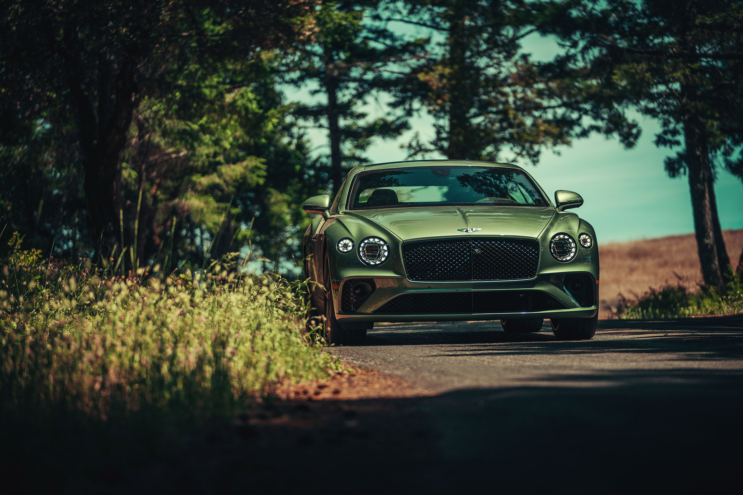 Bentley Continental GT V8 review - nose