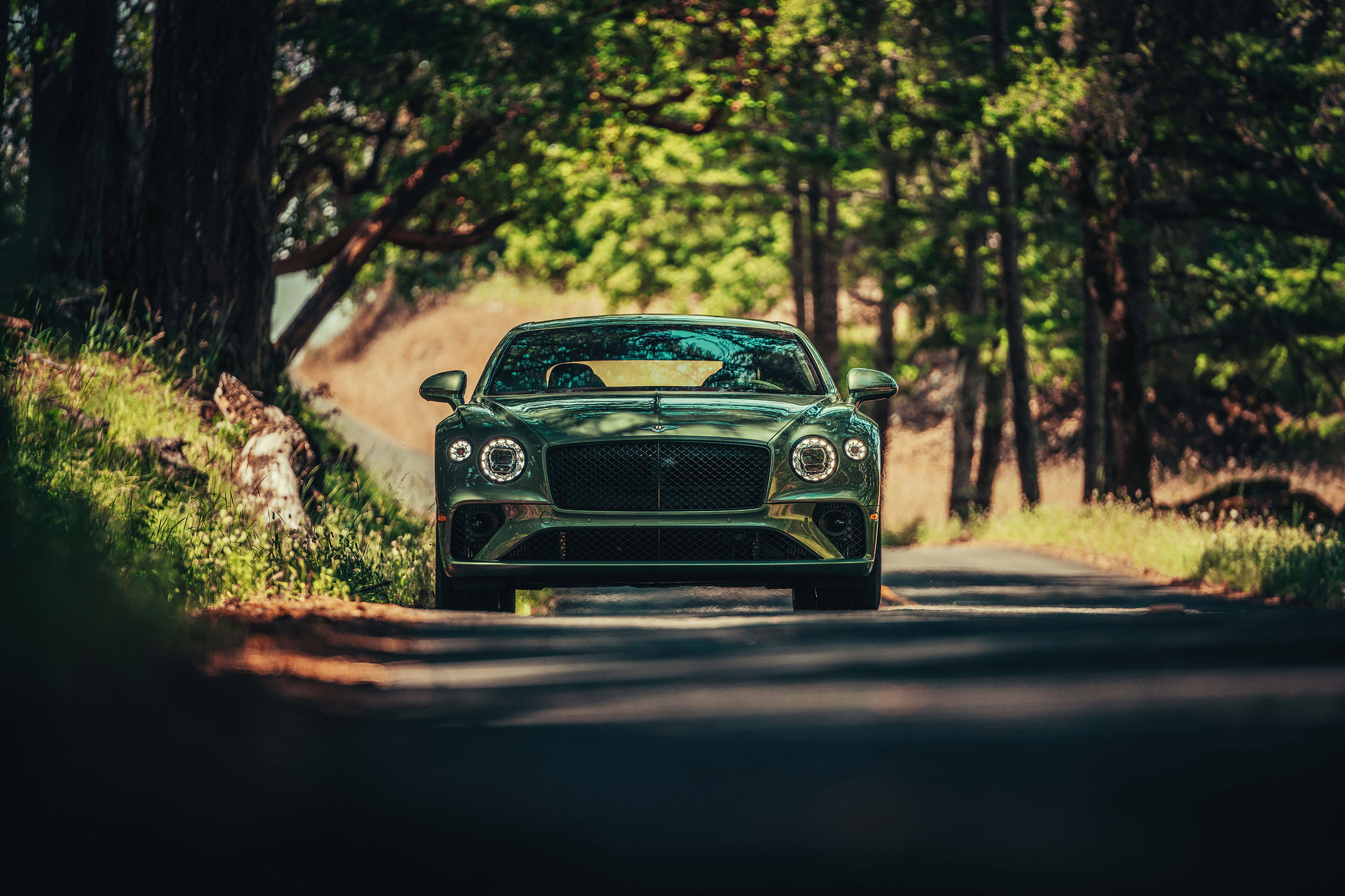 Bentley Continental GT V8 review - nose