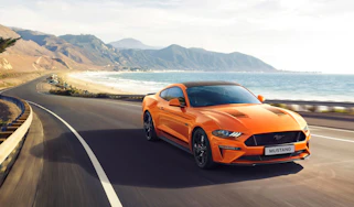 Ford Mustang55 special