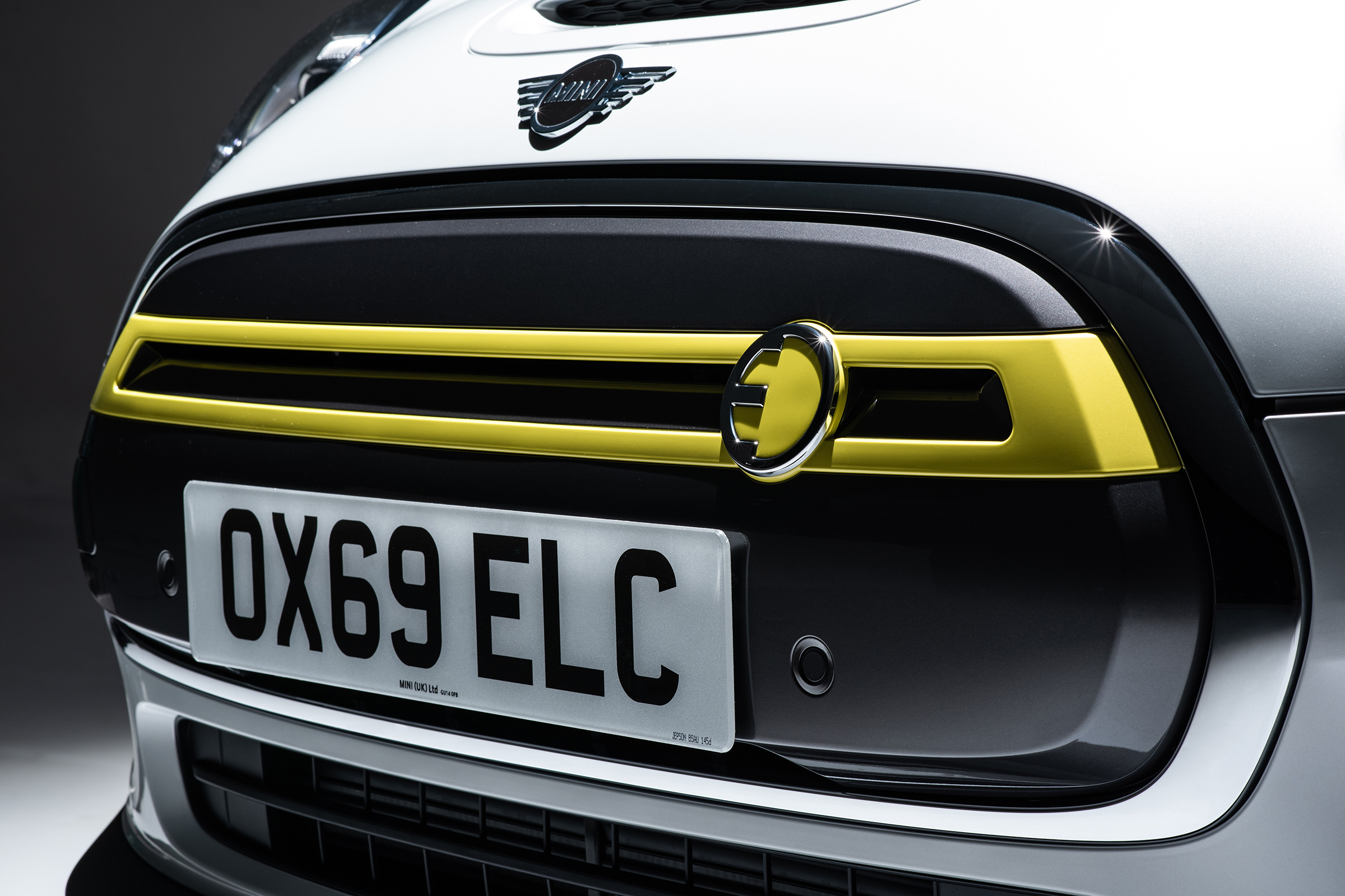 Mini Electric grille