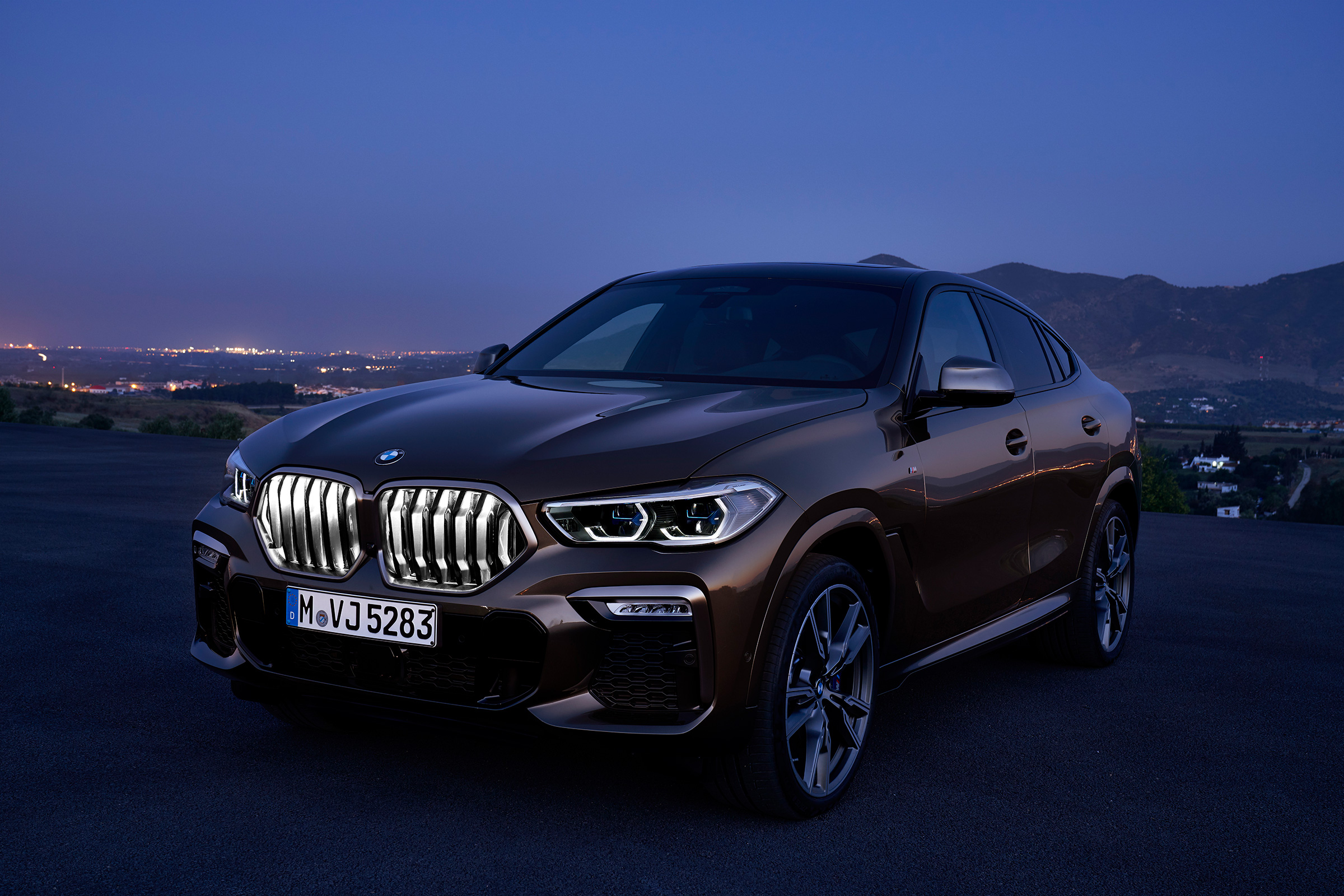 New BMW X6 front grille