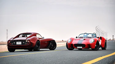 Jannarelly Design-1 red dual