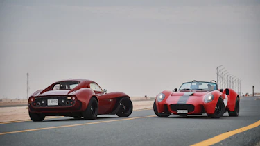 Jannarelly Design-1 duo