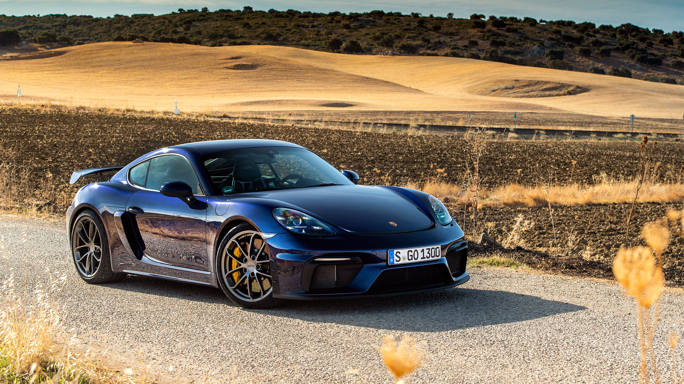Porsche 718 Cayman GT4 static
