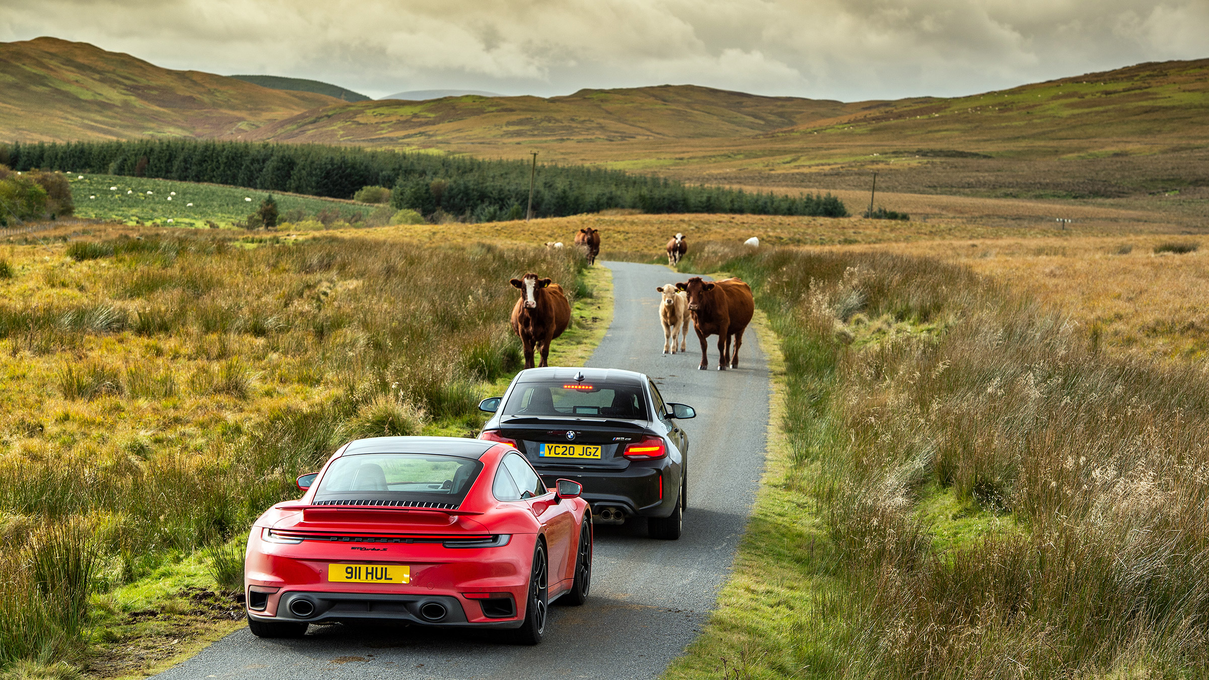 eCoty Scotland