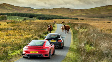 eCoty Scotland