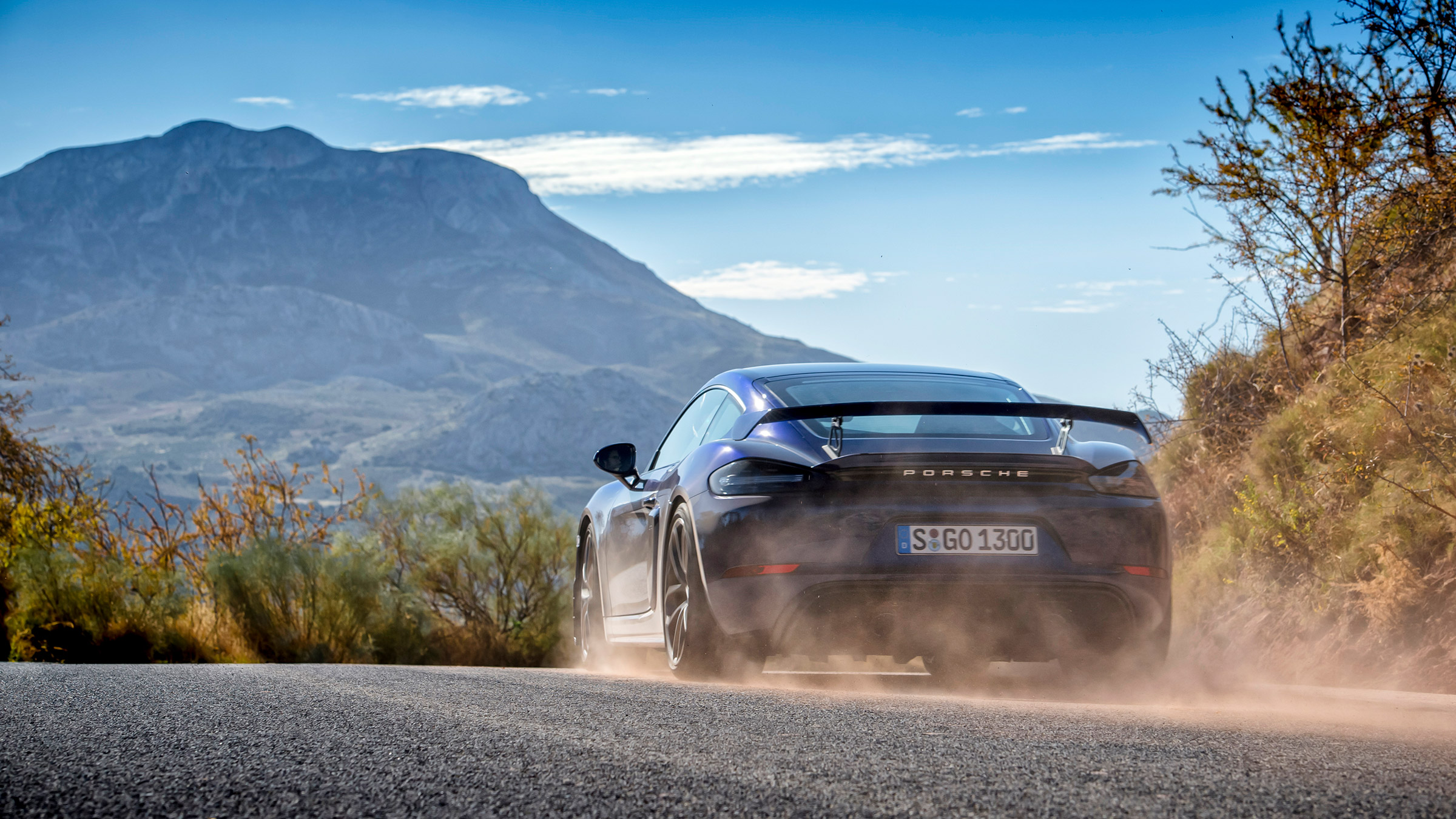 Porsche 718 Cayman GT4 rear action