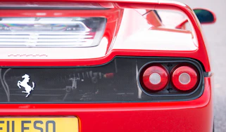 Ferrari F50 rear mesh