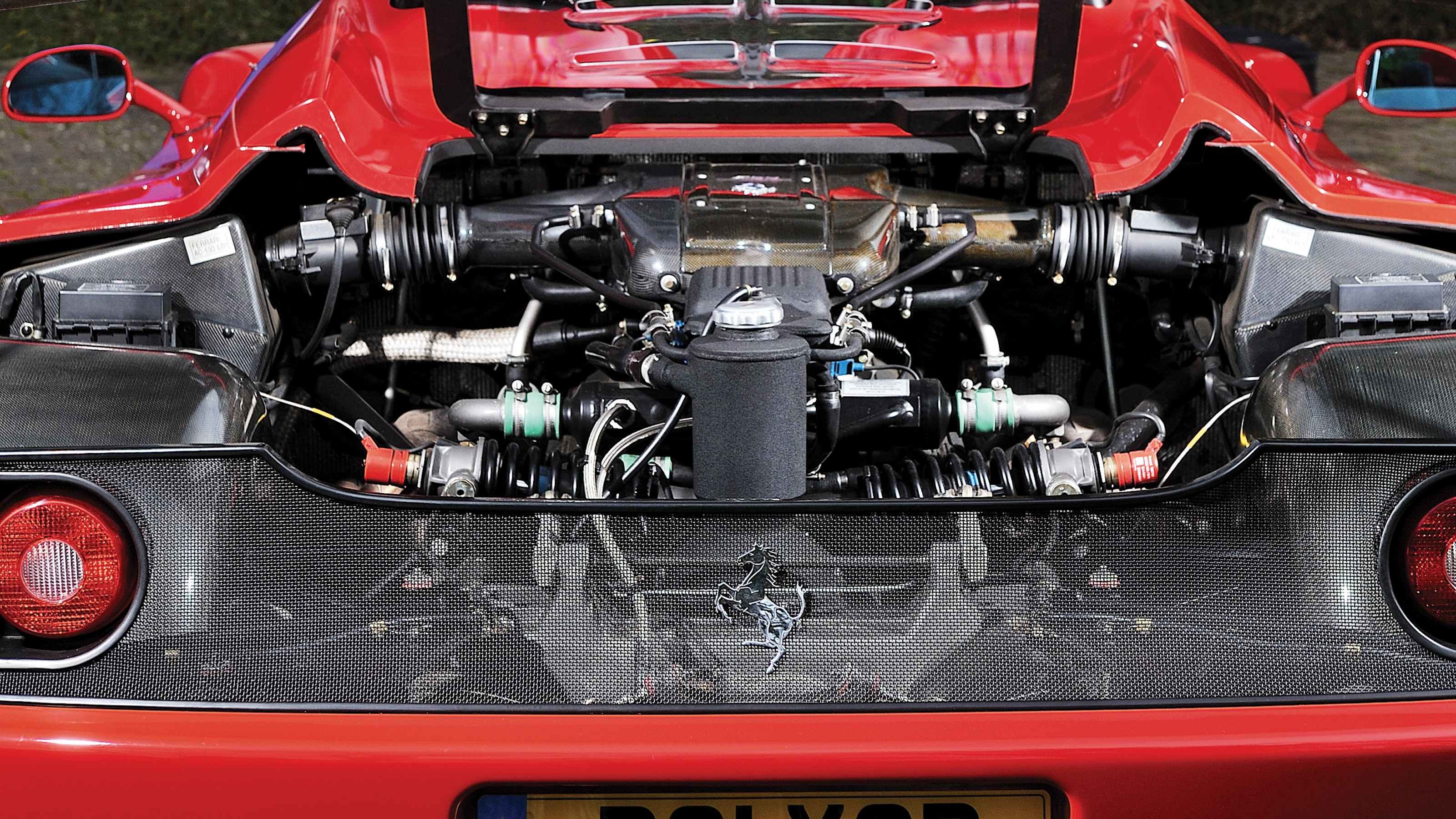 Ferrari F50 rear mesh