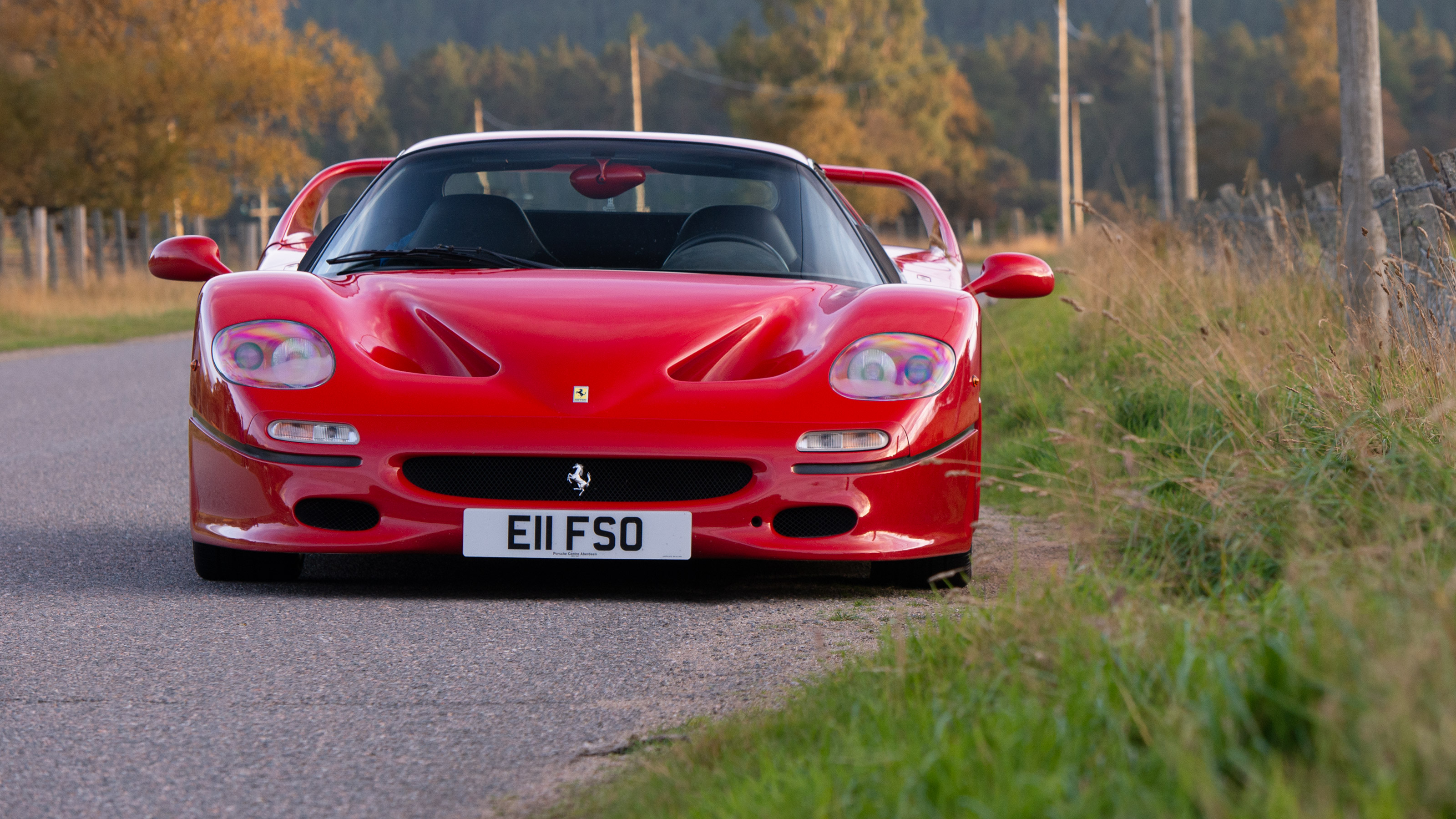 Ferrari F50 rear mesh