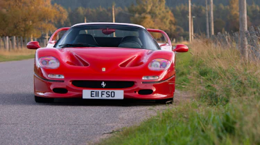 Ferrari F50 rear mesh