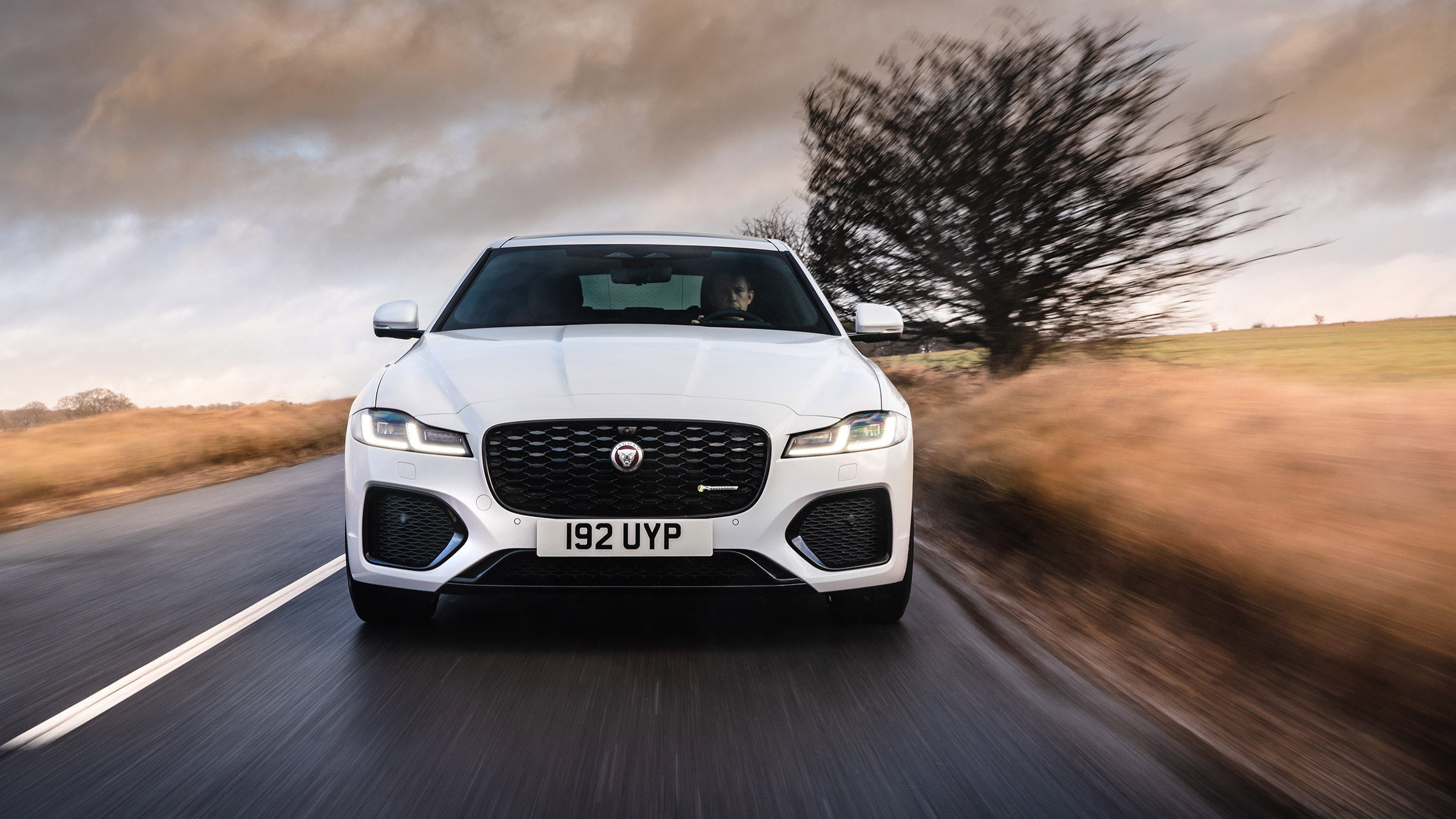 Jaguar XF my21 nose