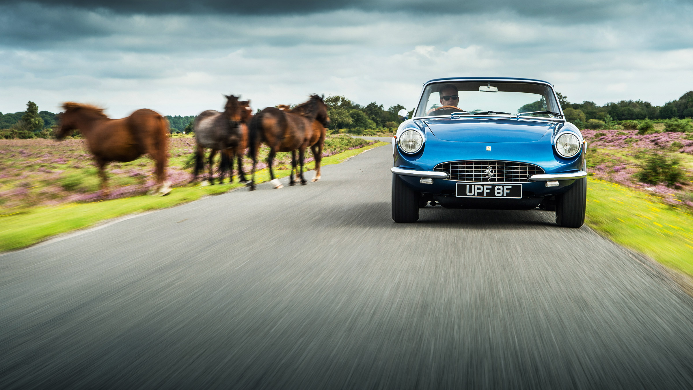 1966 Ferrari 330 GTC - nose
