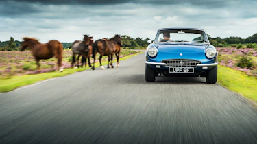 1966 Ferrari 330 GTC - nose
