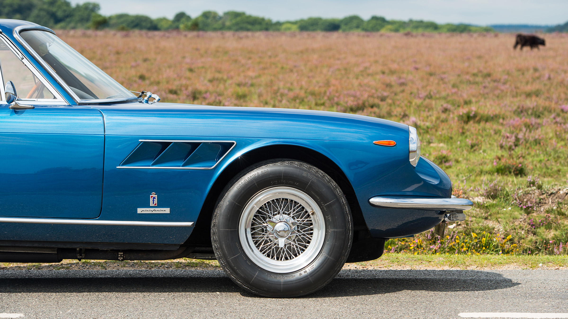 1966 Ferrari 330 GTC - nose
