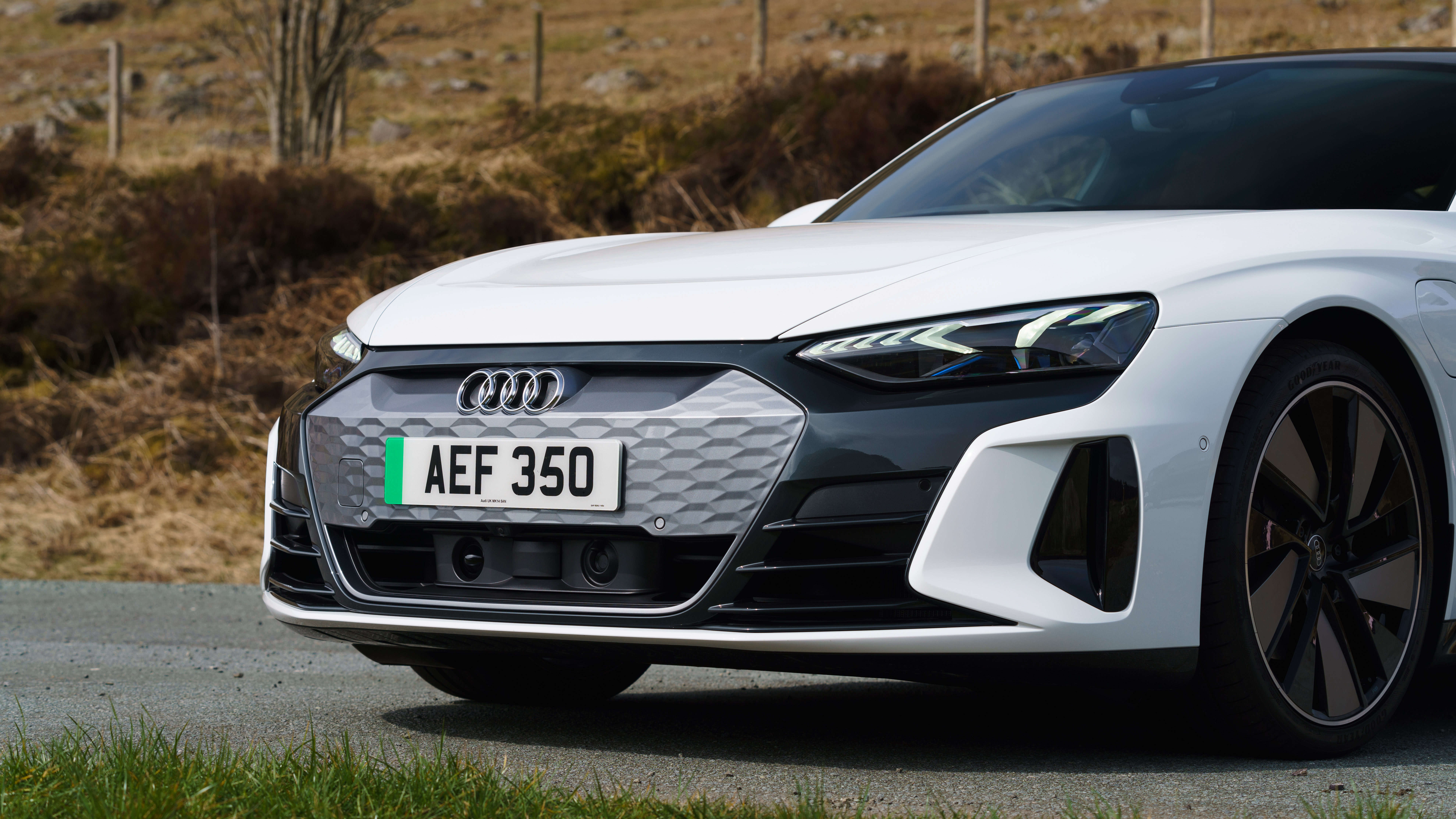 Audi e-tron GT quattro – nose
