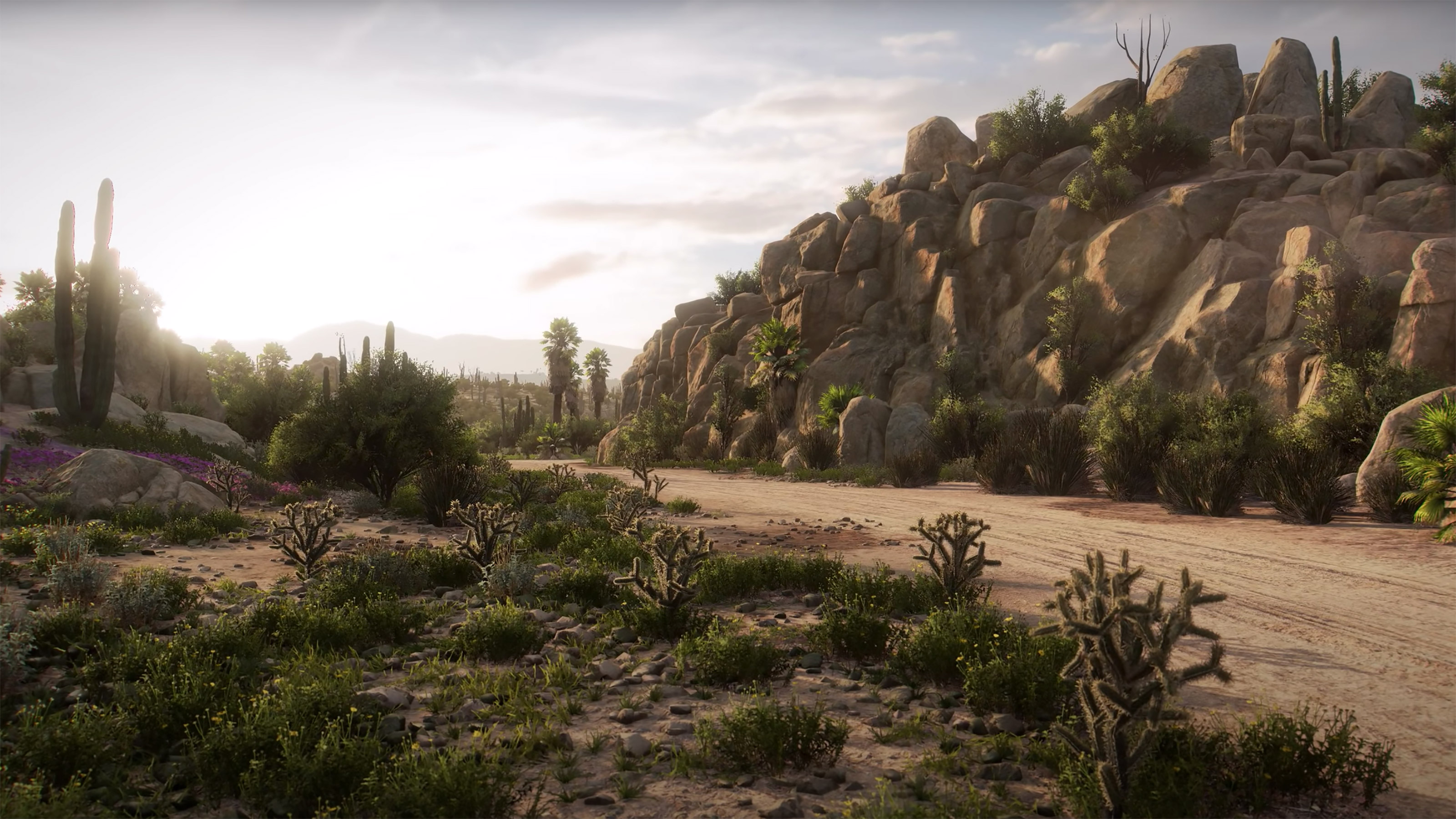 Forza Horizon 5