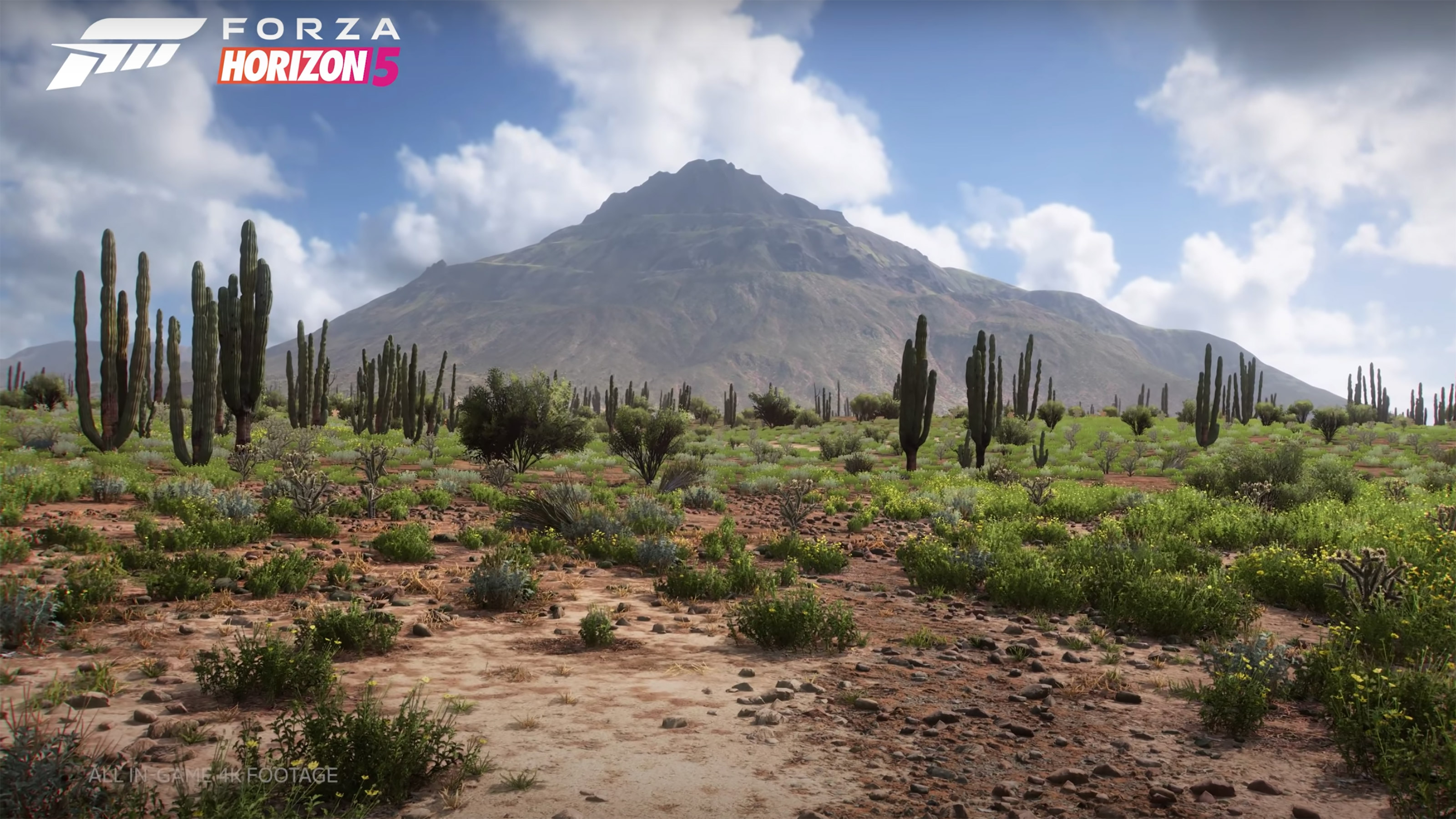 Forza Horizon 5